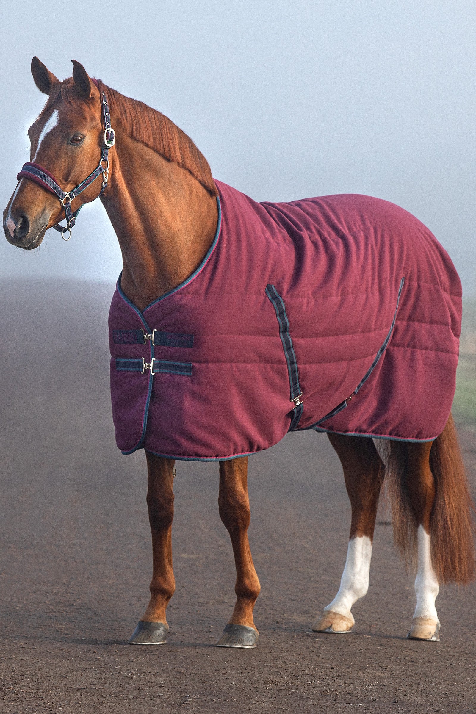 Horseware Rambo Coperta da scuderia con fodera goffrata, 100 gr Paardendekens