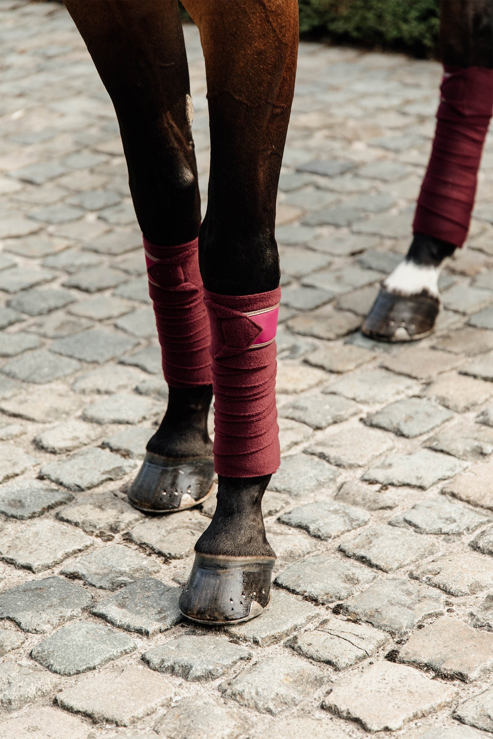 Kentucky Horsewear Polar Fleece Polos Leg Protection & Hoof Protection for Horses