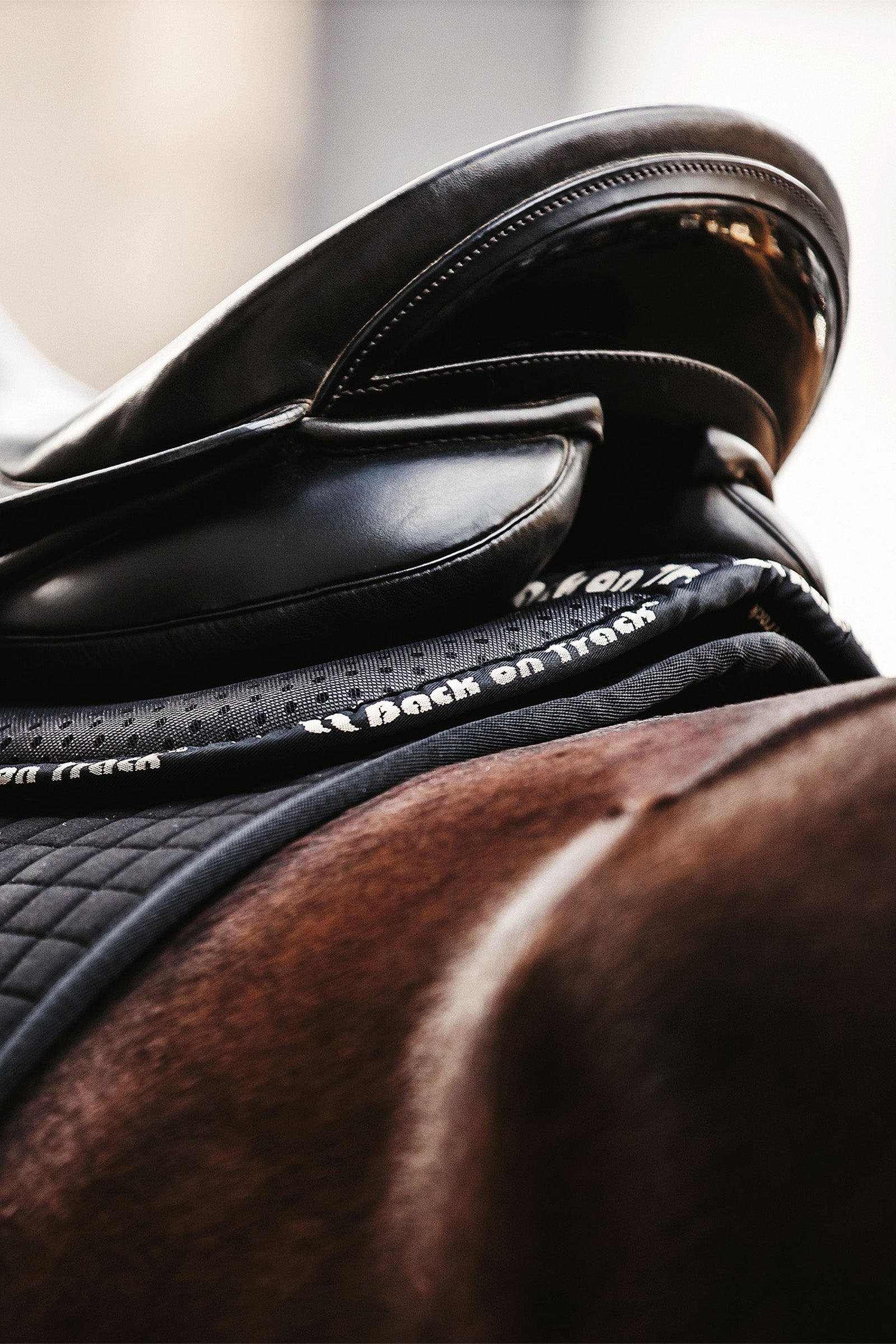 Back on Track Aurora Impact Half Pad Saddle Pads