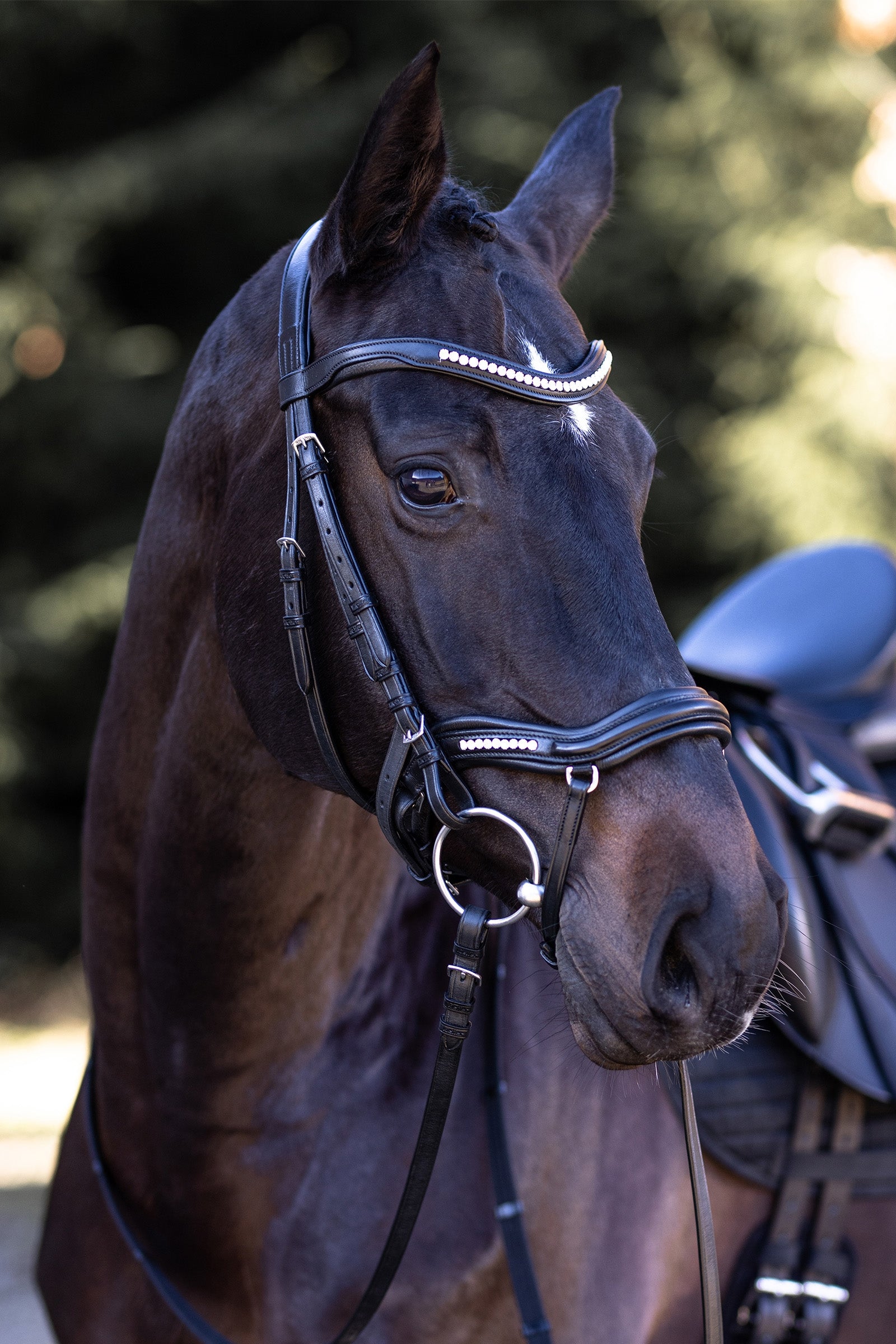 Kieffer Snaffle Bridle Ultrasoft® Luna Bridles & Reins