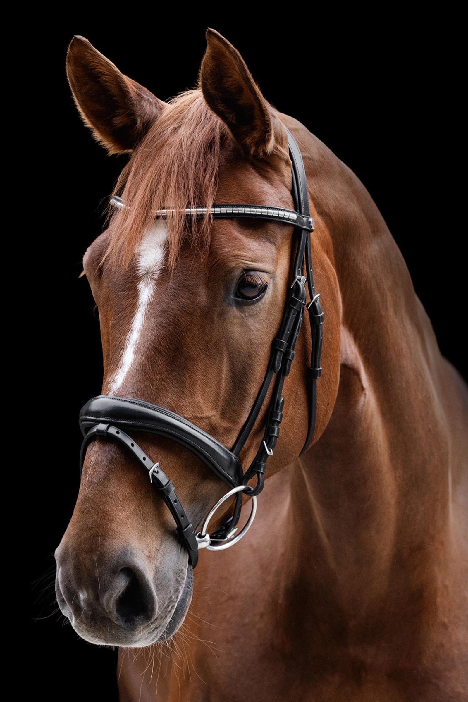 Waldhausen X-Line Clincher Bridle Bridles & Reins