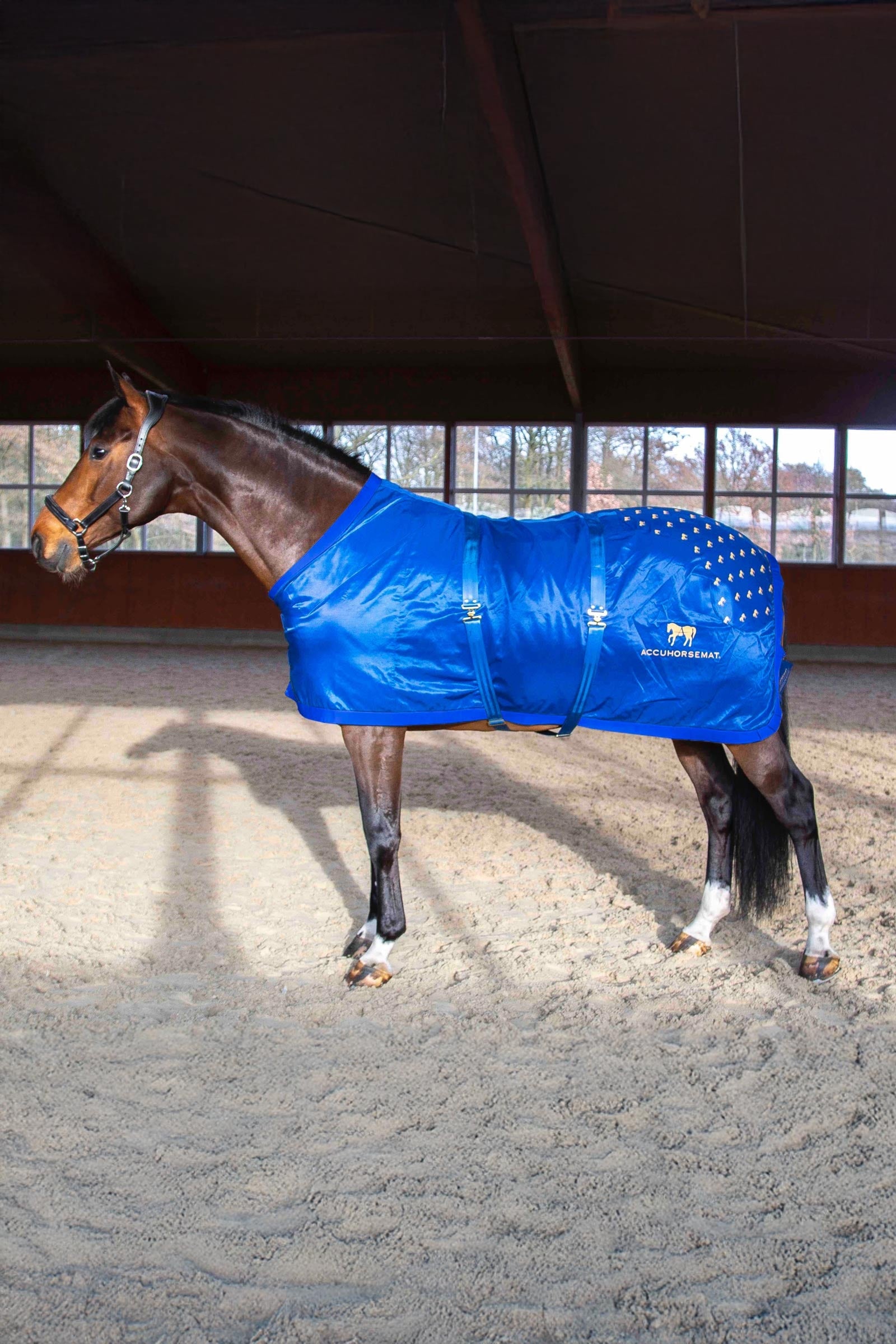 Accuhorsemat Original Paardendekens