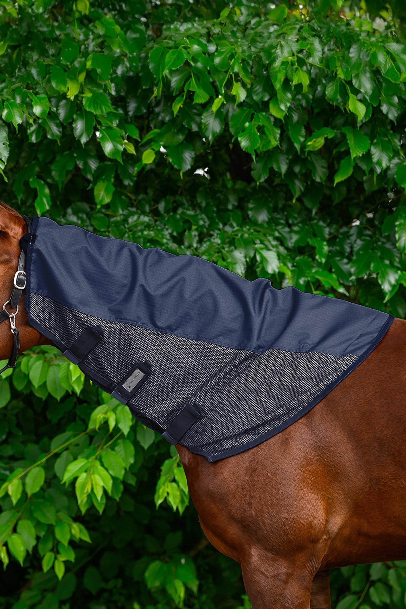 Waldhausen Comfort Rain & Fly Neck Cover Horse Rugs