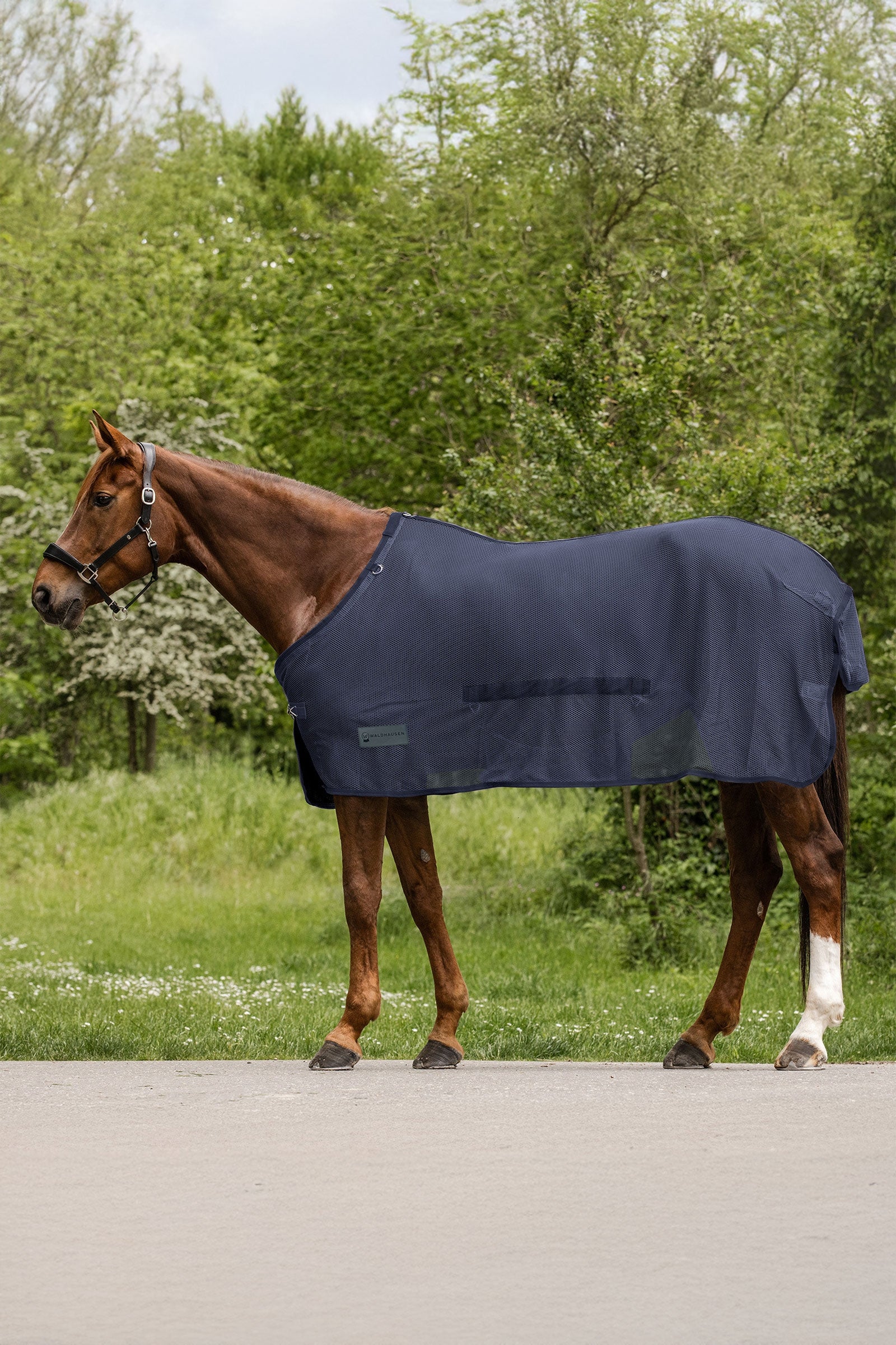 Waldhausen Comfort vliegendeken met buikflap Paardendekens