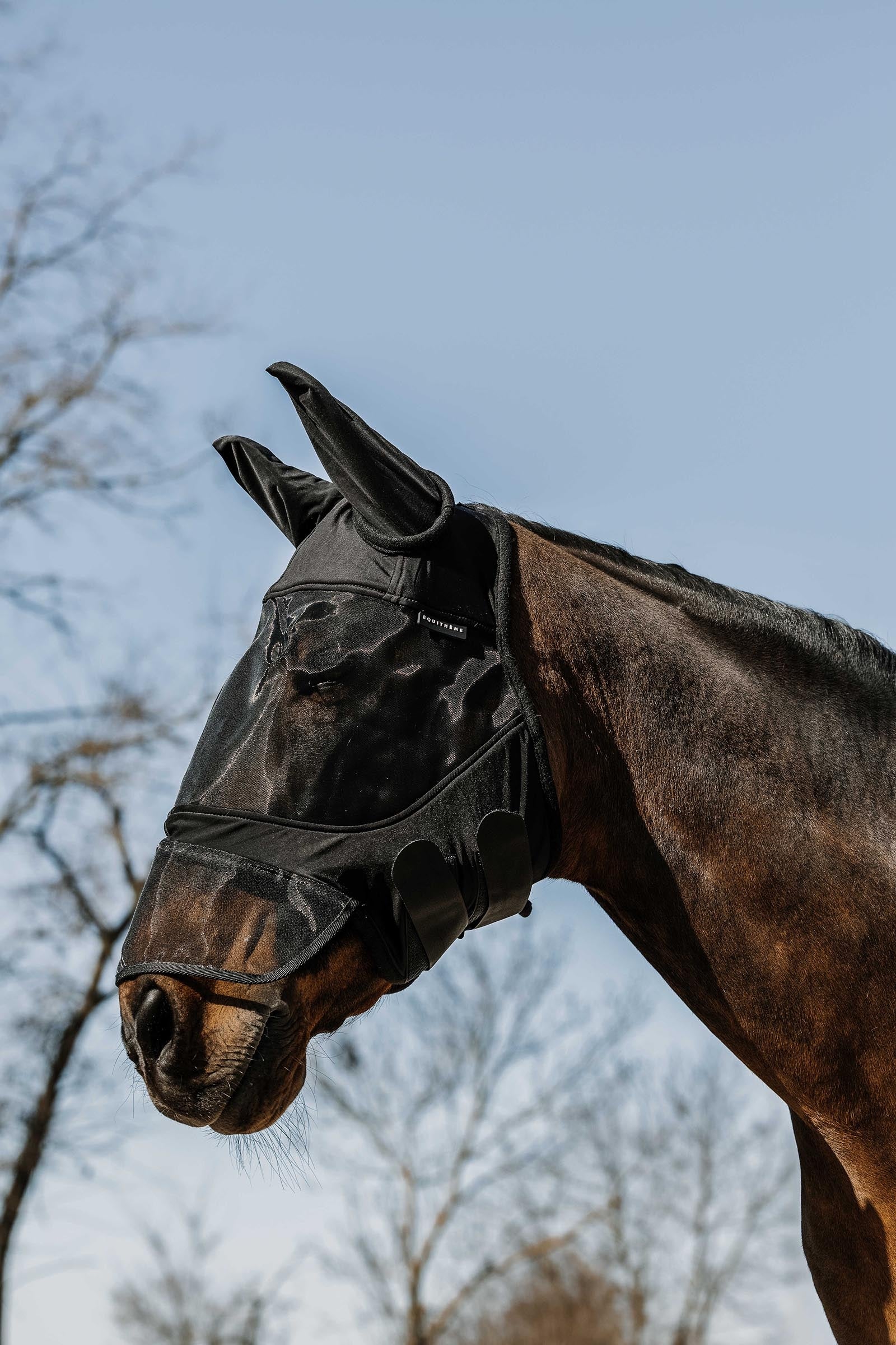 Equi Theme EQUITHÈME Soft Fly Mask/ UV Mask + Nose Antifly Protection for Horses
