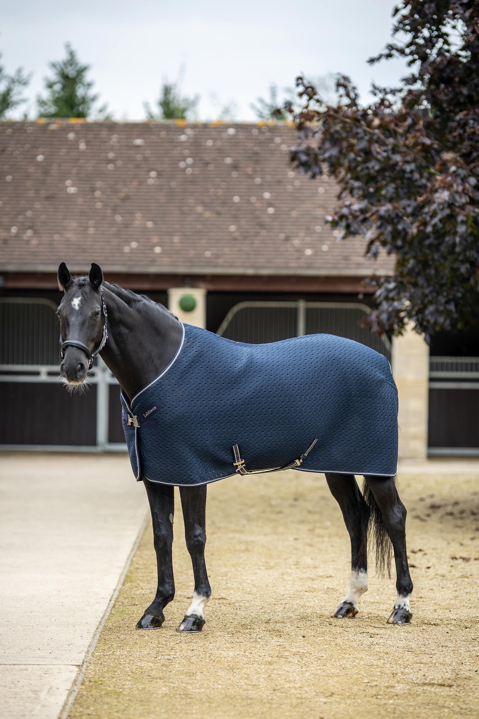 LeMieux Kudos 3D mesh reismat Paardendekens