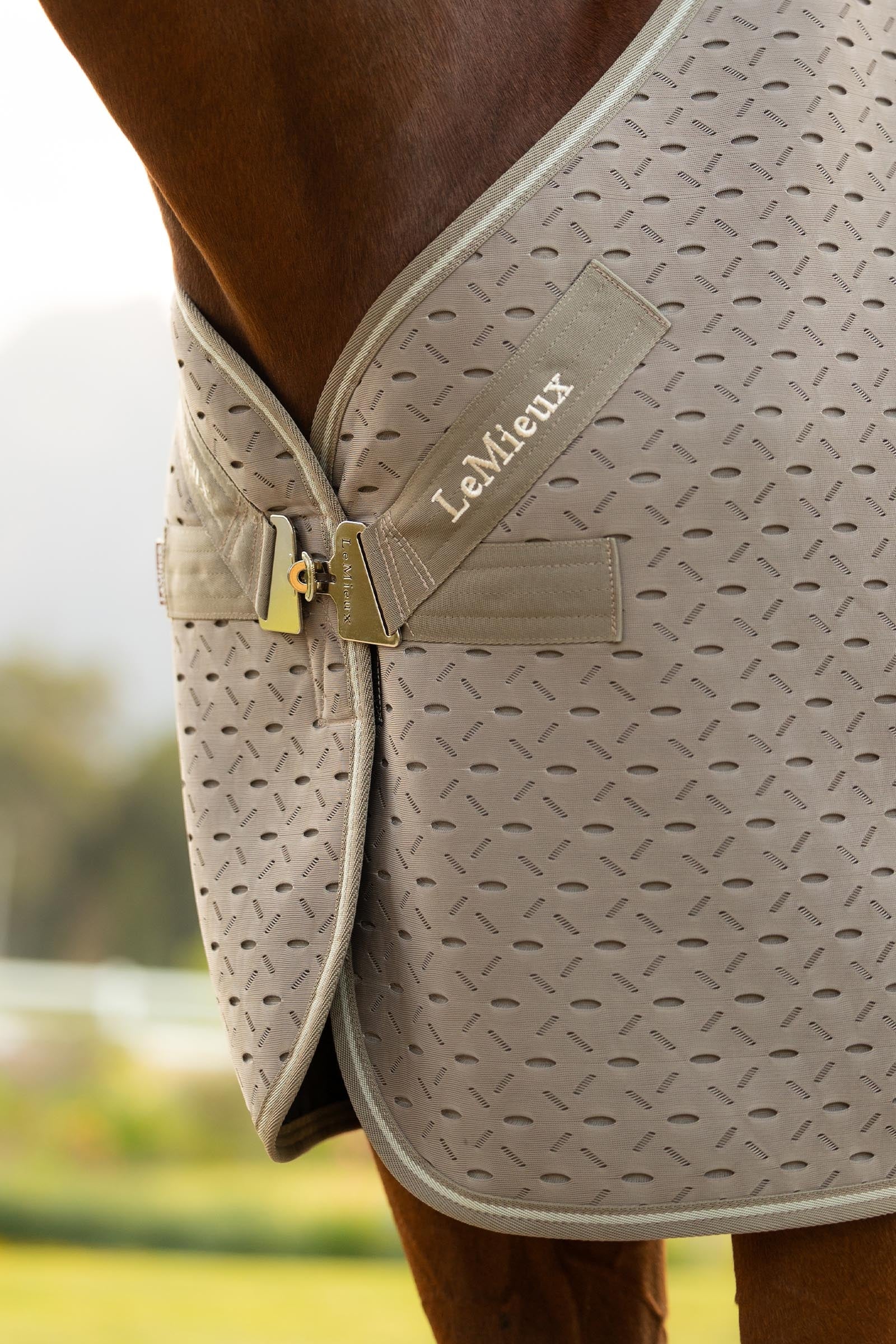 LeMieux Kudos 3D Mesh Travel Rug Horse Rugs