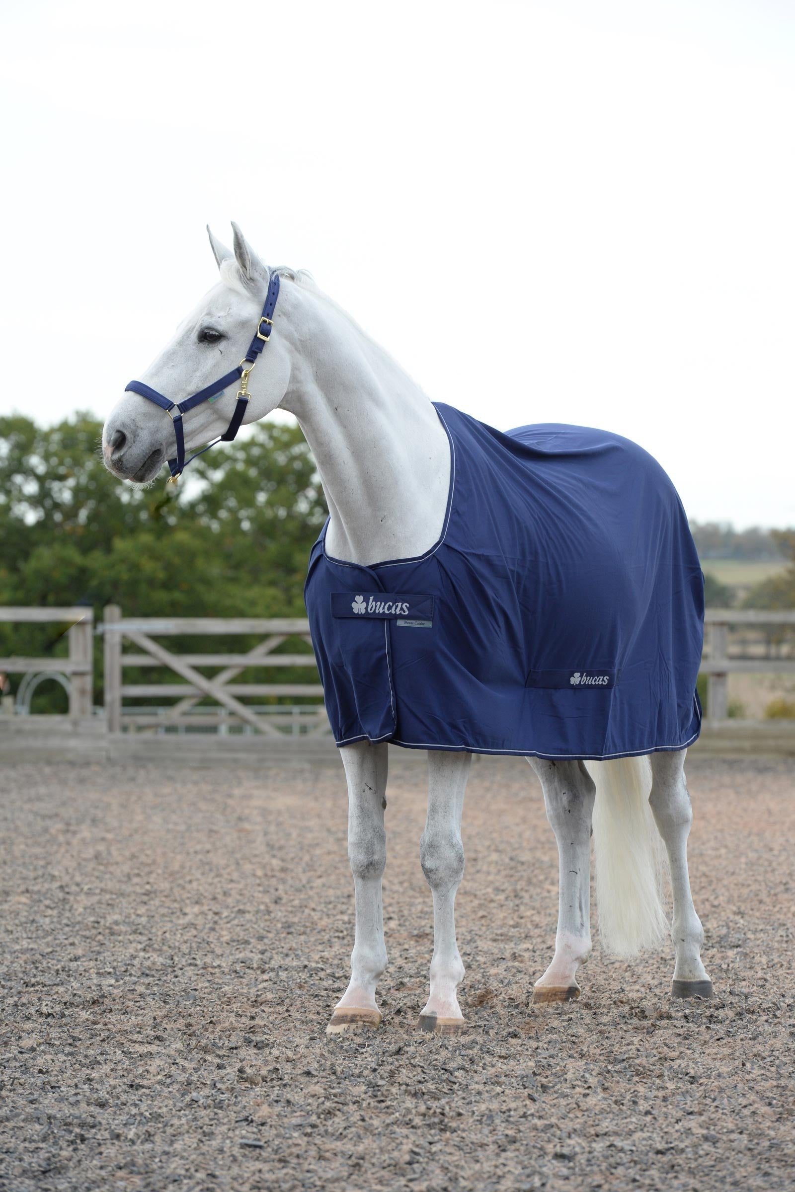 Bucas Power cooler deken Paardendekens
