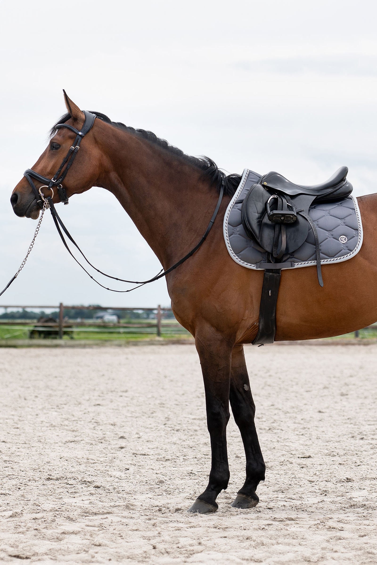 PS of Sweden Signature Jumping Saddle Pad Saddle Pads
