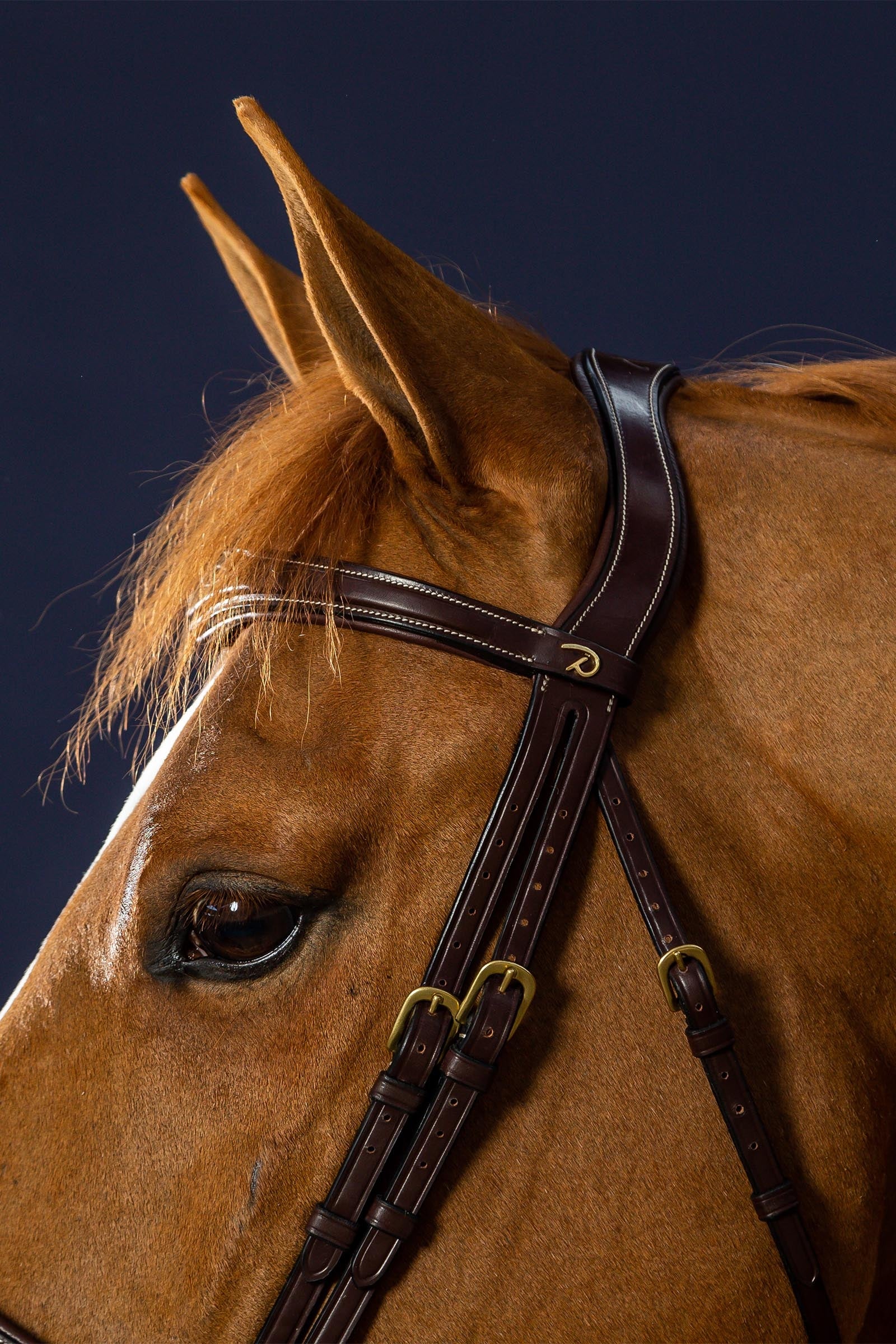Dy'on D Collection Anatomical Bridle With Flash Noseband Bridles & Reins
