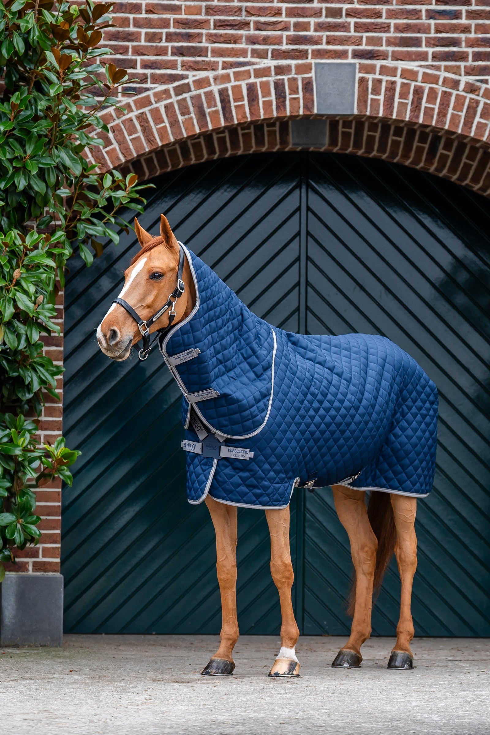 Horseware Amigo Quilted Stable Plus Rug, 200 g Horse Rugs