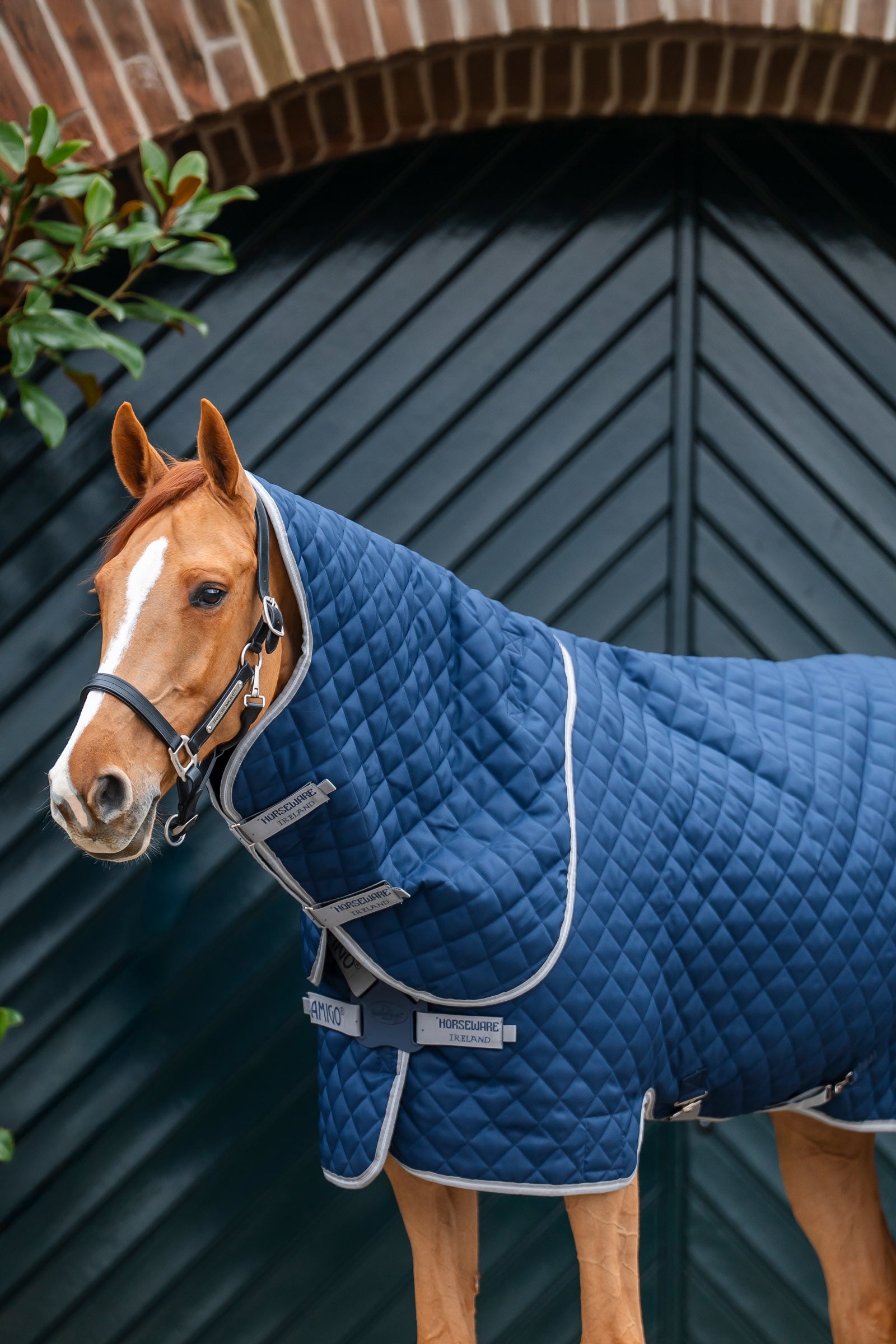 Horseware Amigo Quilted Stable Plus Rug, 200 g Horse Rugs