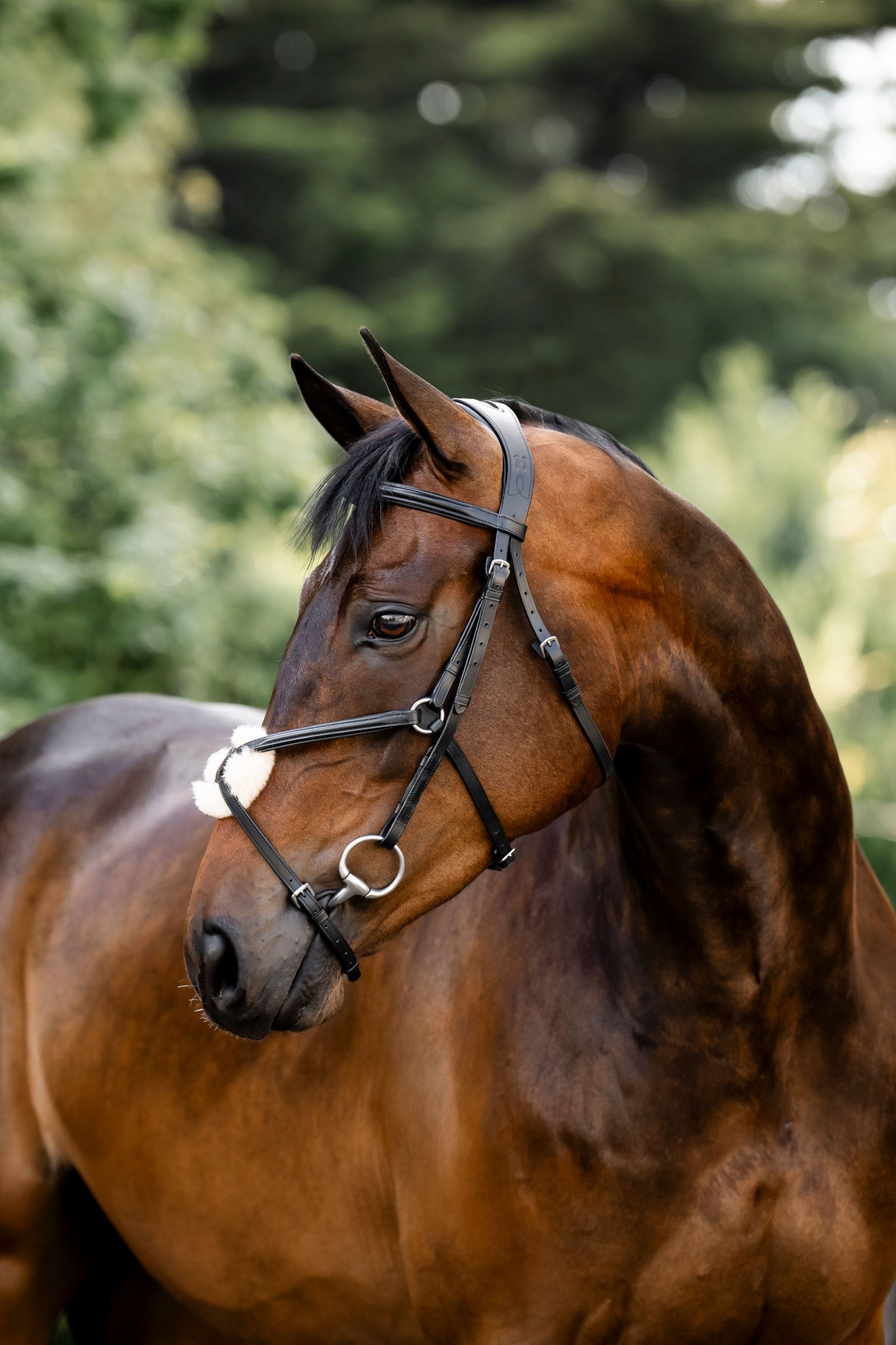 Horseware hoofdstel met figuur-8 neusriem Hoofdstellen & Teugels