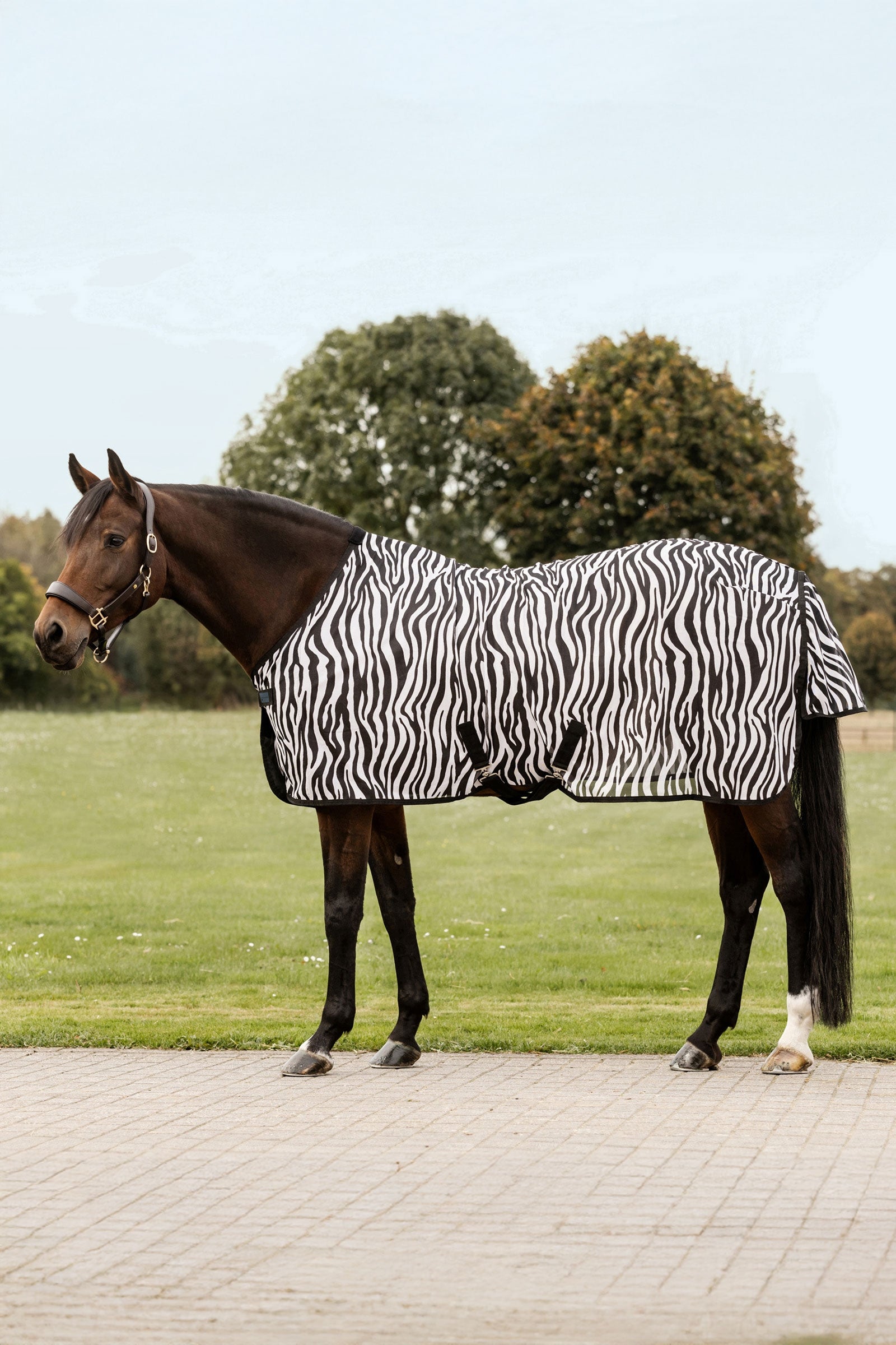 Waldhausen Zebra vliegendeken met kruissingels Paardendekens