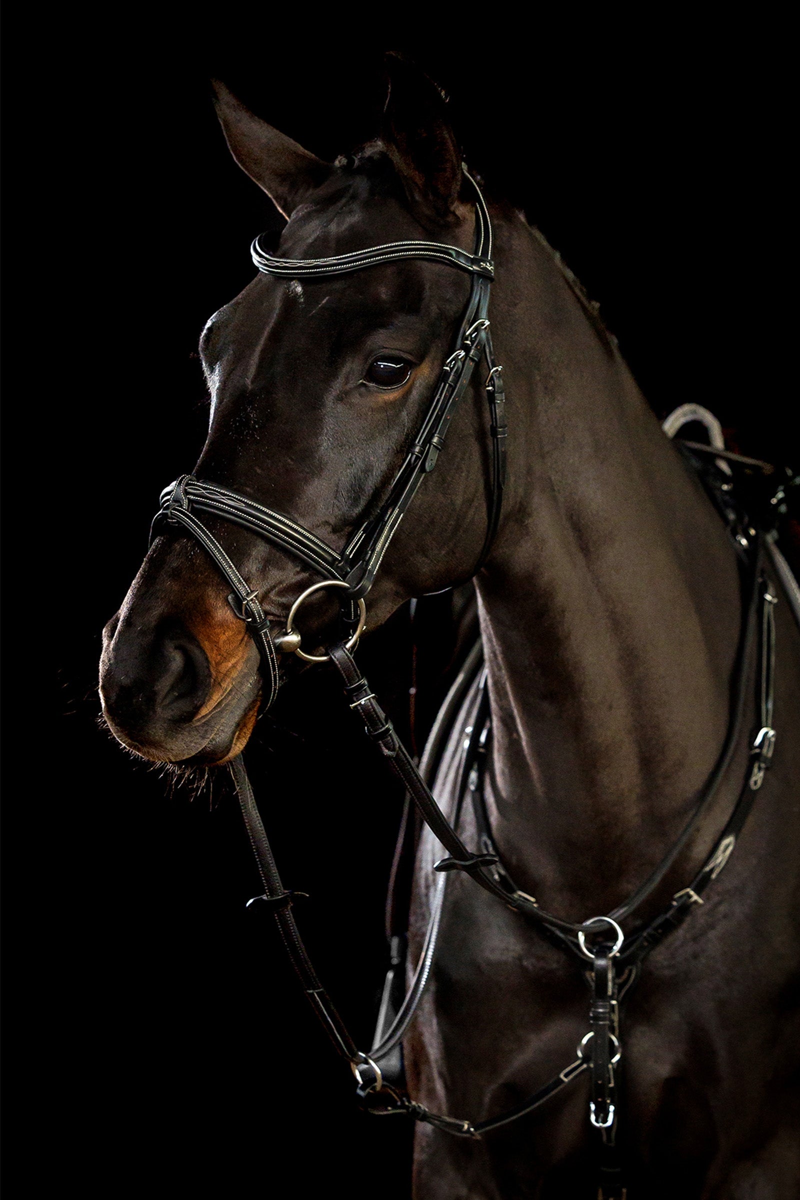 Schockemöhle Sports Tokyo F Select Bridle Bridles & Reins