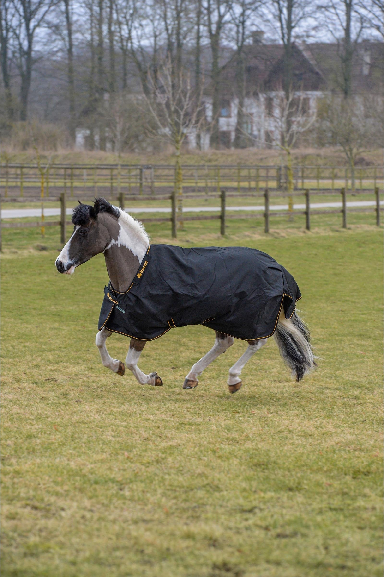 Bucas Irish Turnout Rug, 100 g Horse Rugs