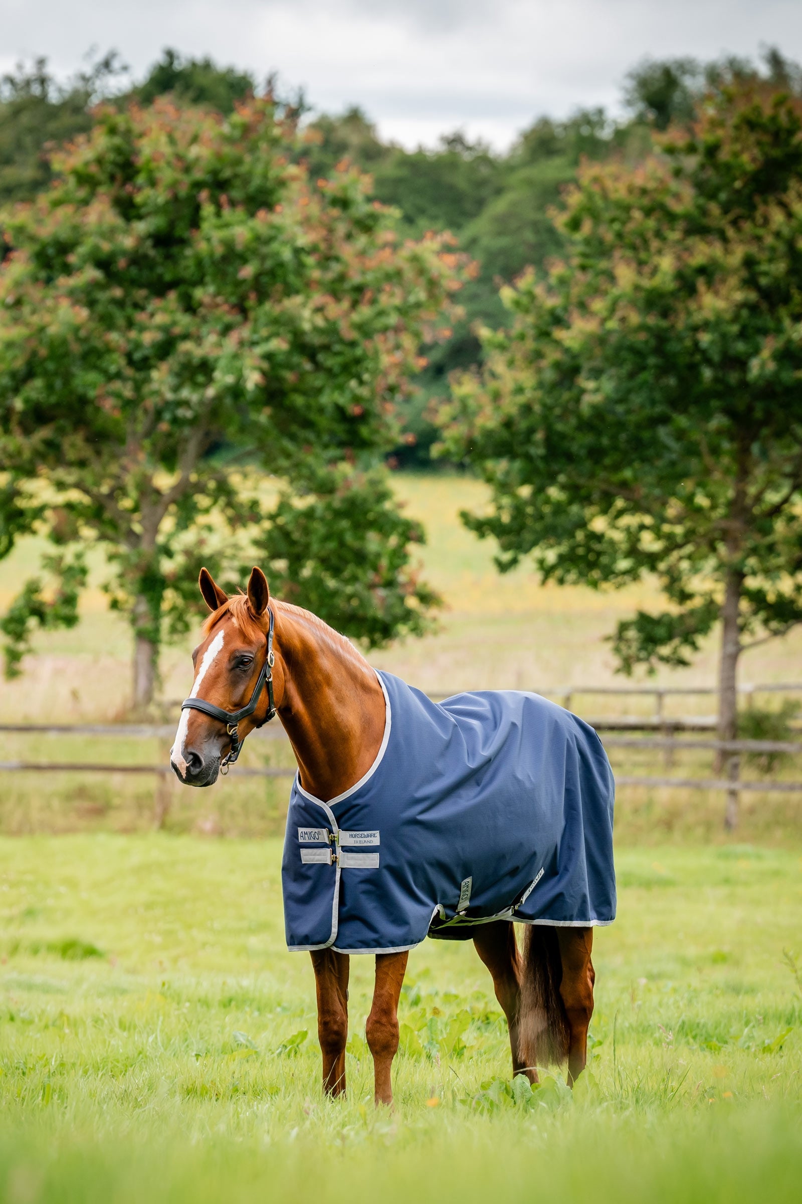 Horseware Amigo 900D Ripstop regendeken, 100 g Paardendekens