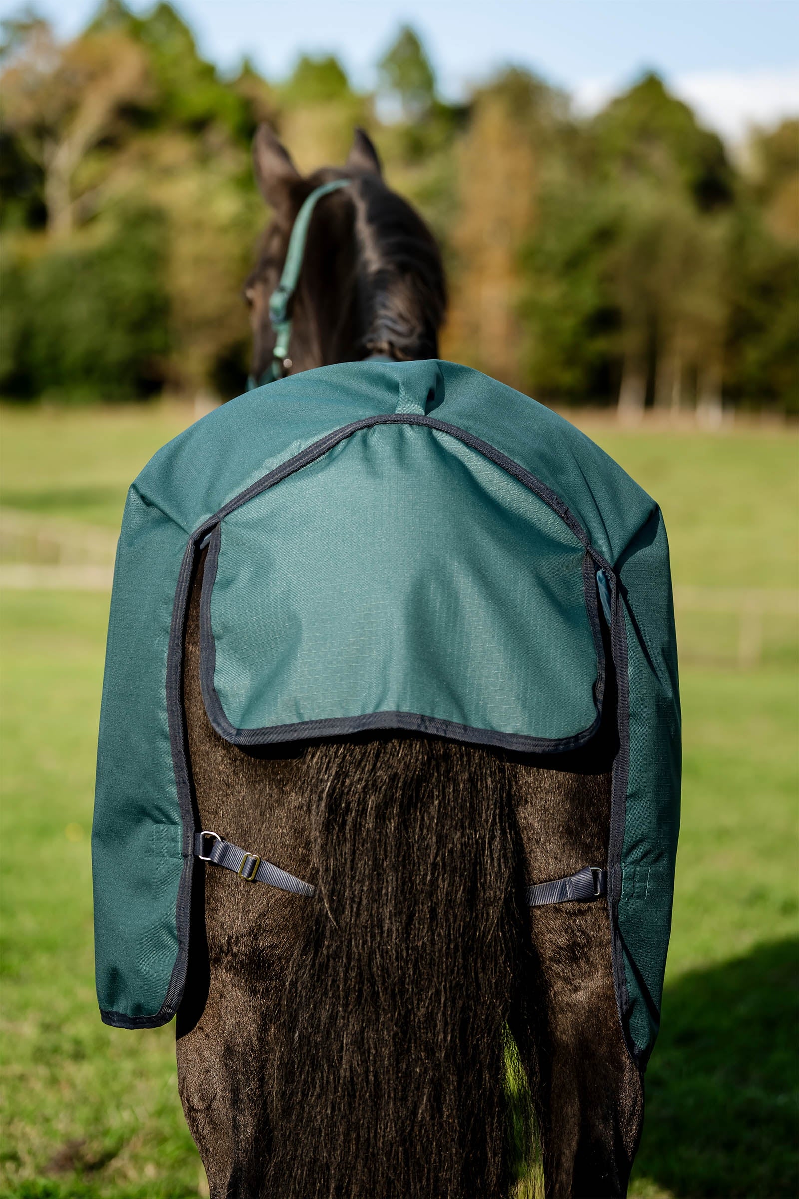 Horseware Amigo Ripstop 900D Turnout Rug, 100 g Horse Rugs