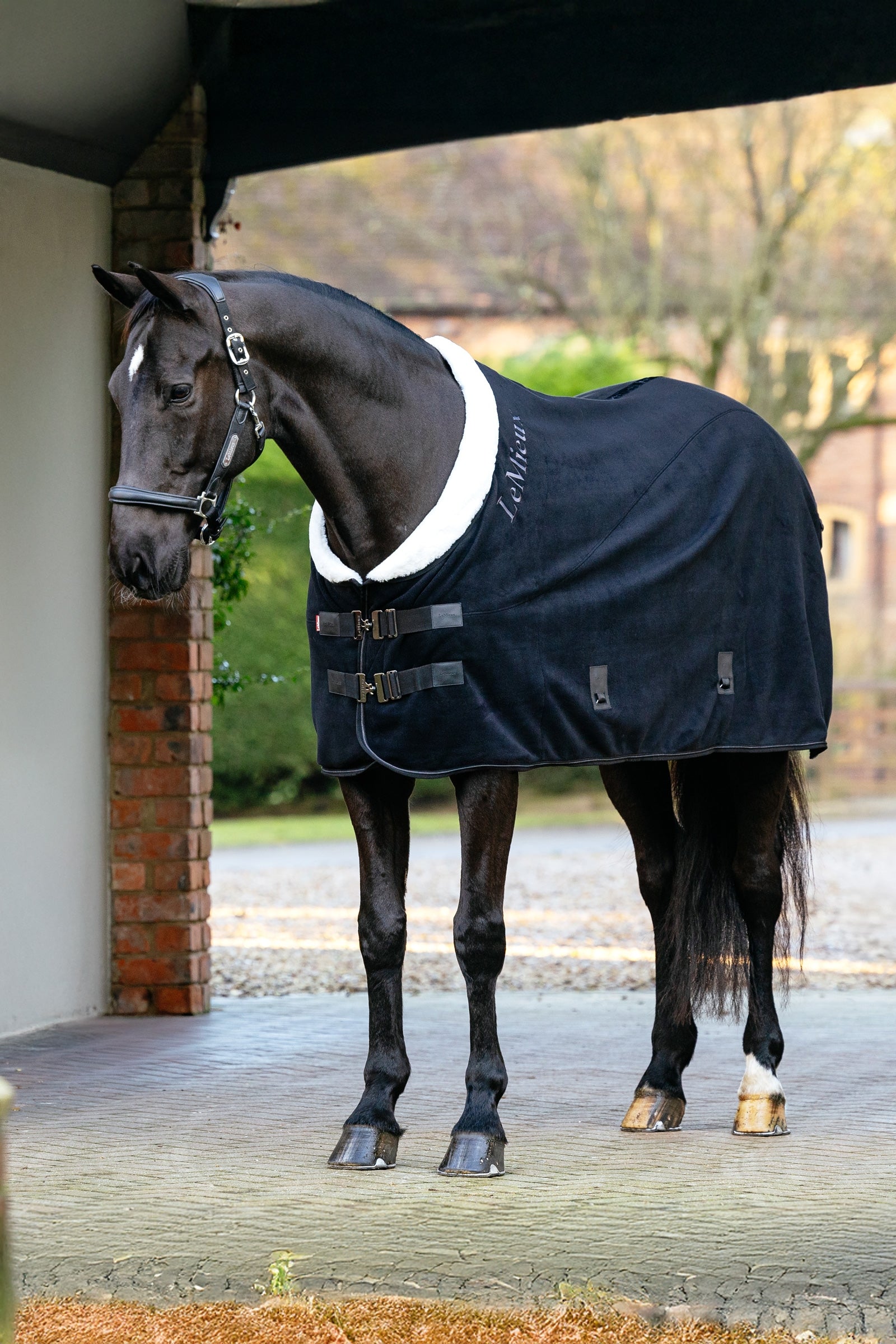 LeMieux Kudos Luxe fleecedeken Paardendekens