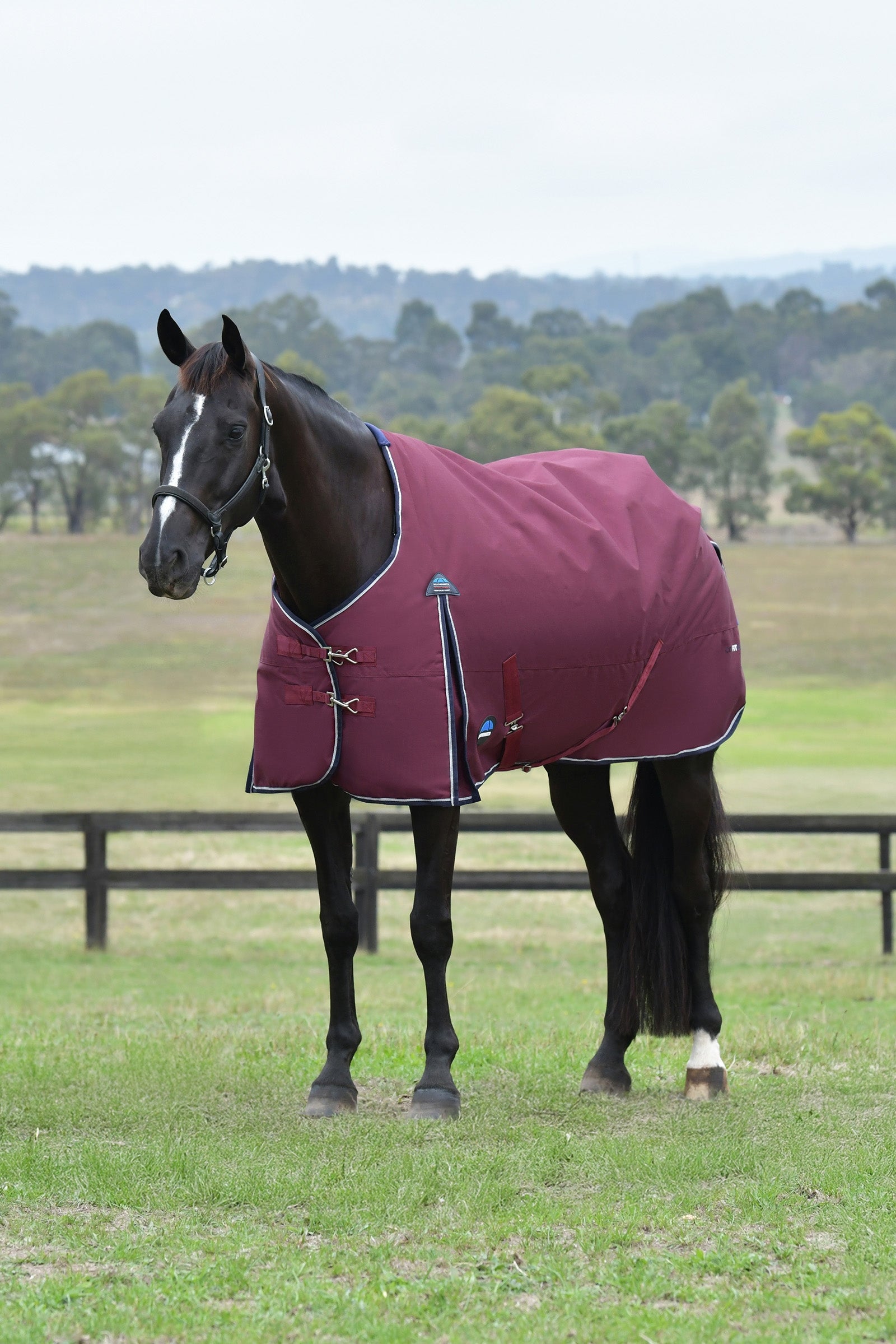 Weatherbeeta ComFiTec Essential Turnout Standard Neck 0G Horse Rugs