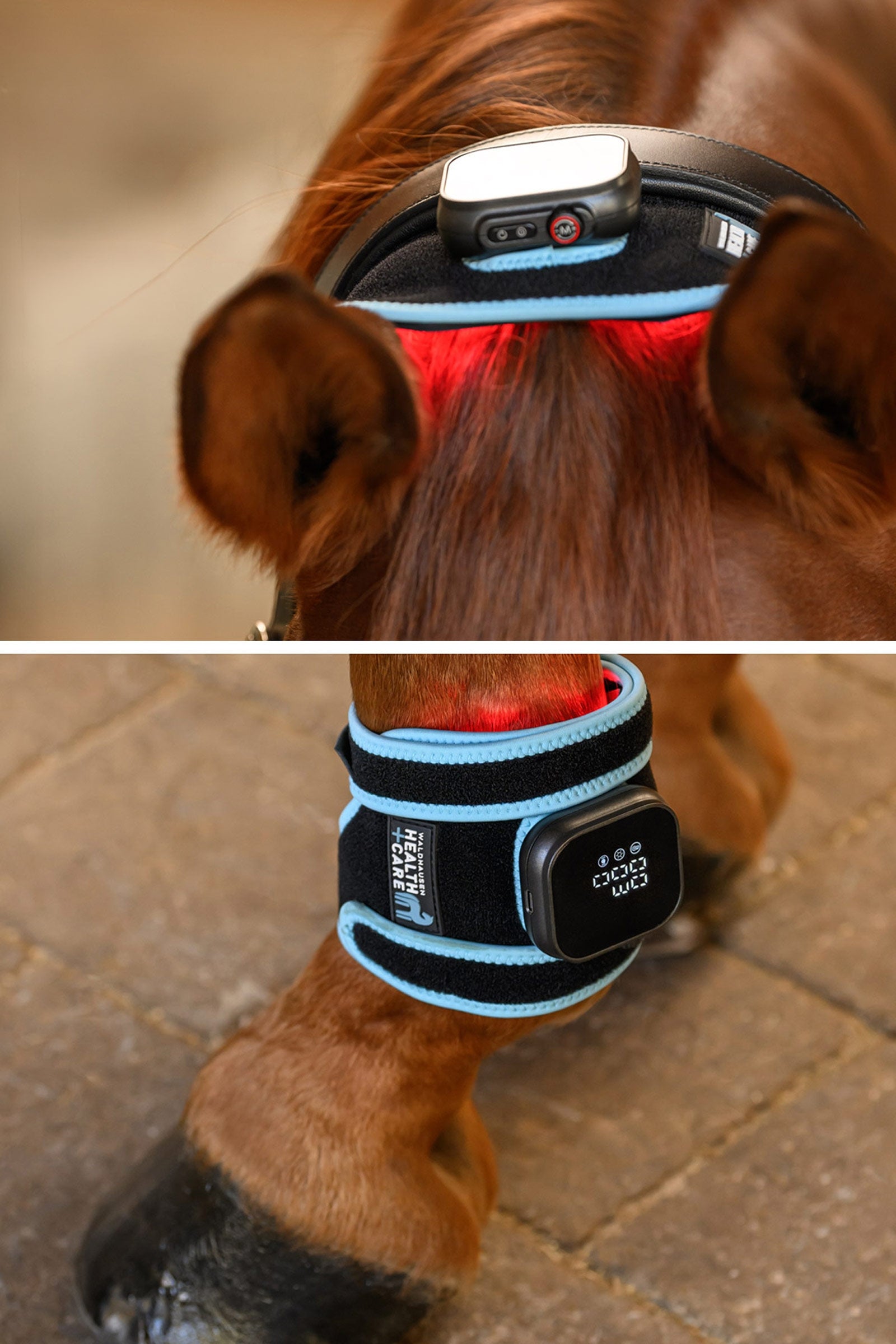 Waldhausen Health + Care infrarood FlexPad Leg Protection & Hoof Protection for Horses