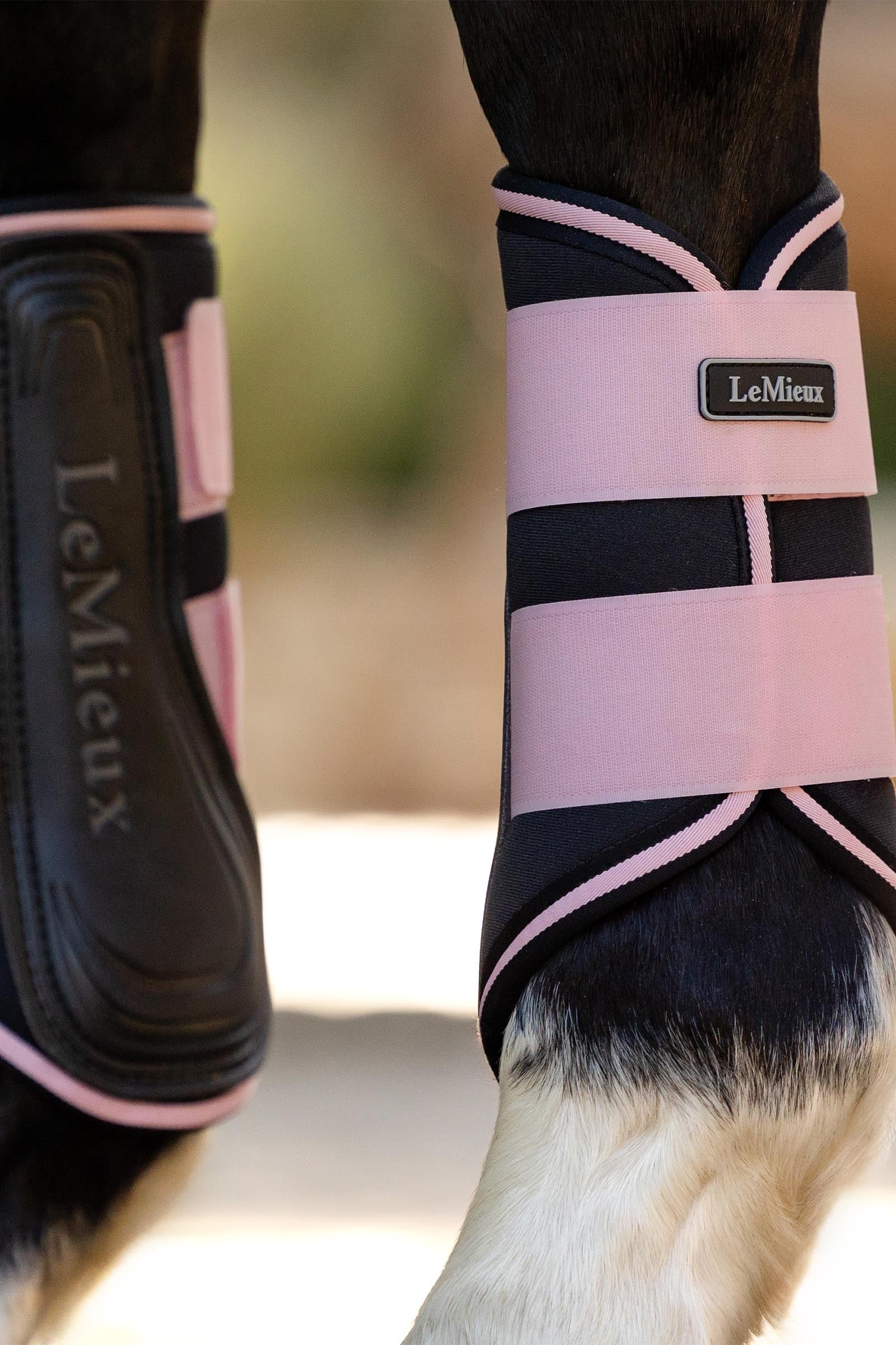 LeMieux Grafter Boots Leg Protection & Hoof Protection for Horses