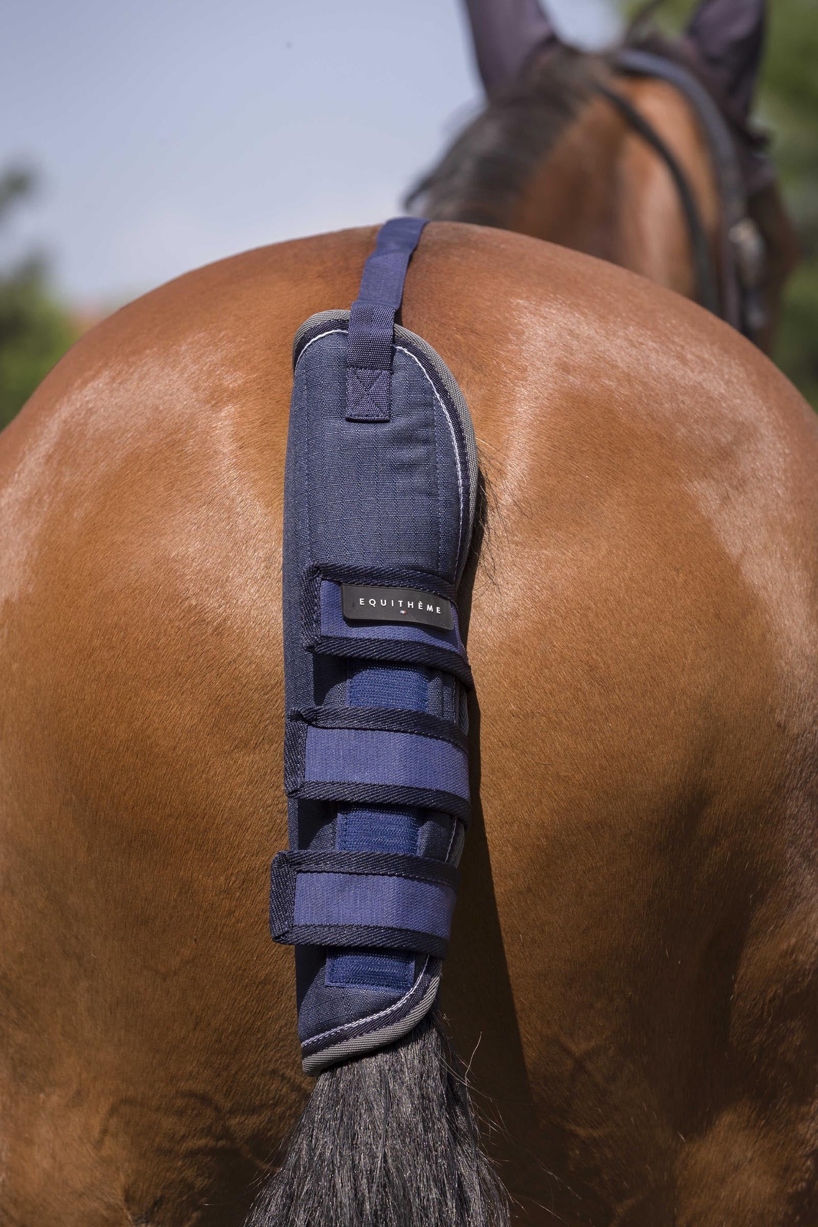 Equi Theme EQUITHÈME TYREX 600D staartbeschermer Leg & Hoof Protection