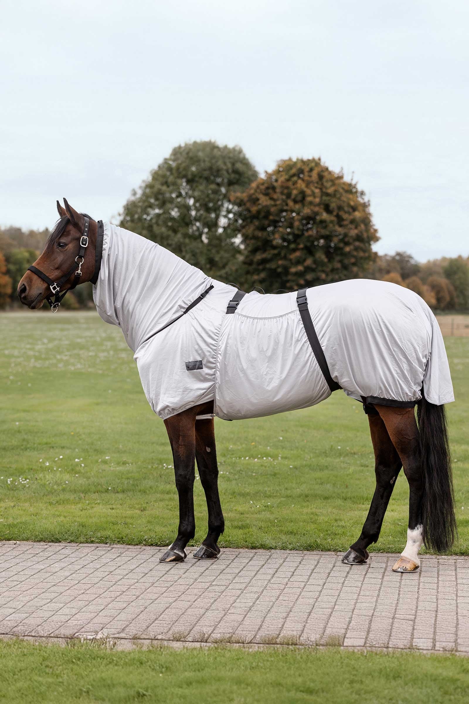 Waldhausen Eczema Rug Horse Rugs