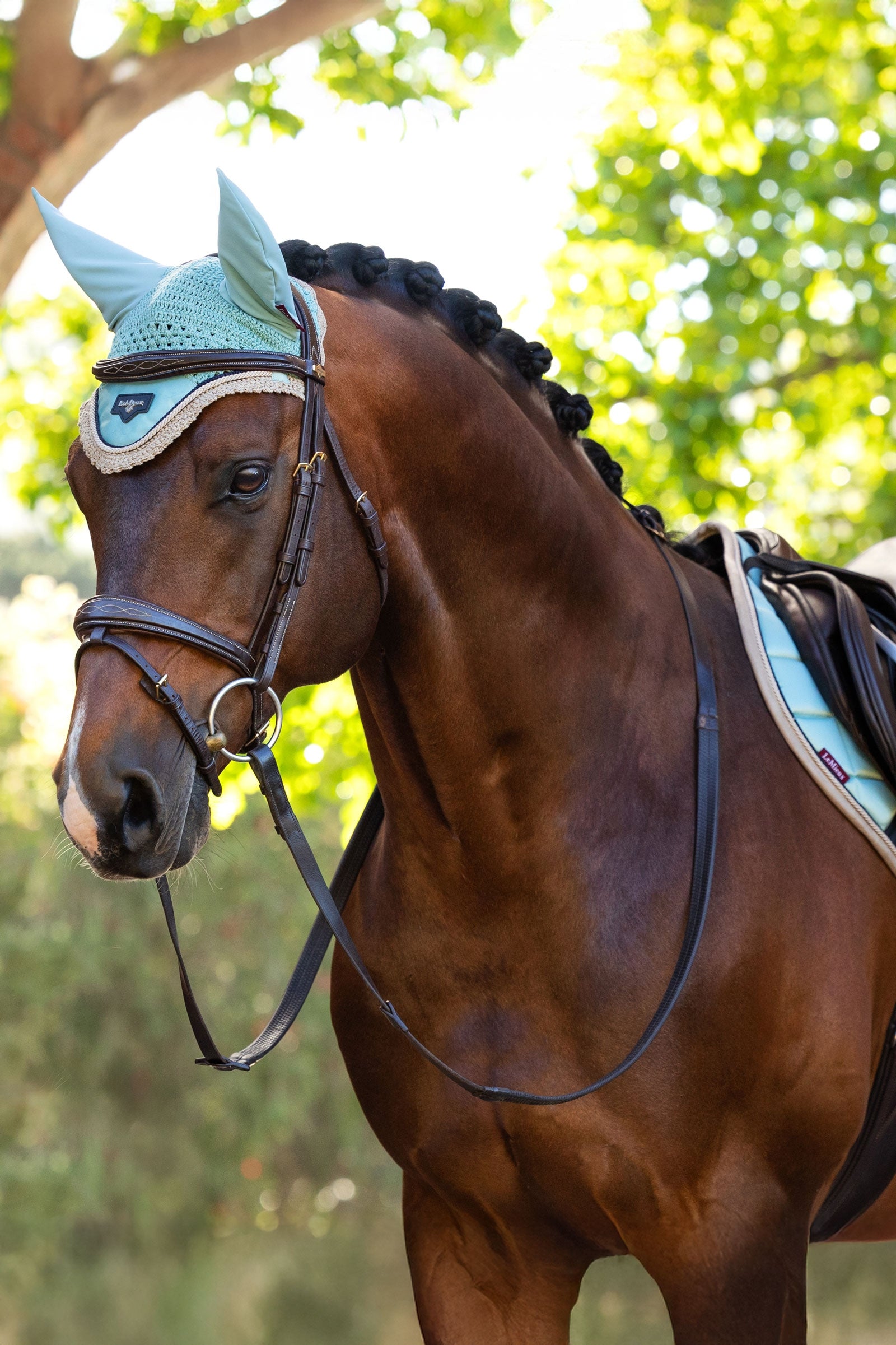 LeMieux Loire Fly Hood Saddle Pads