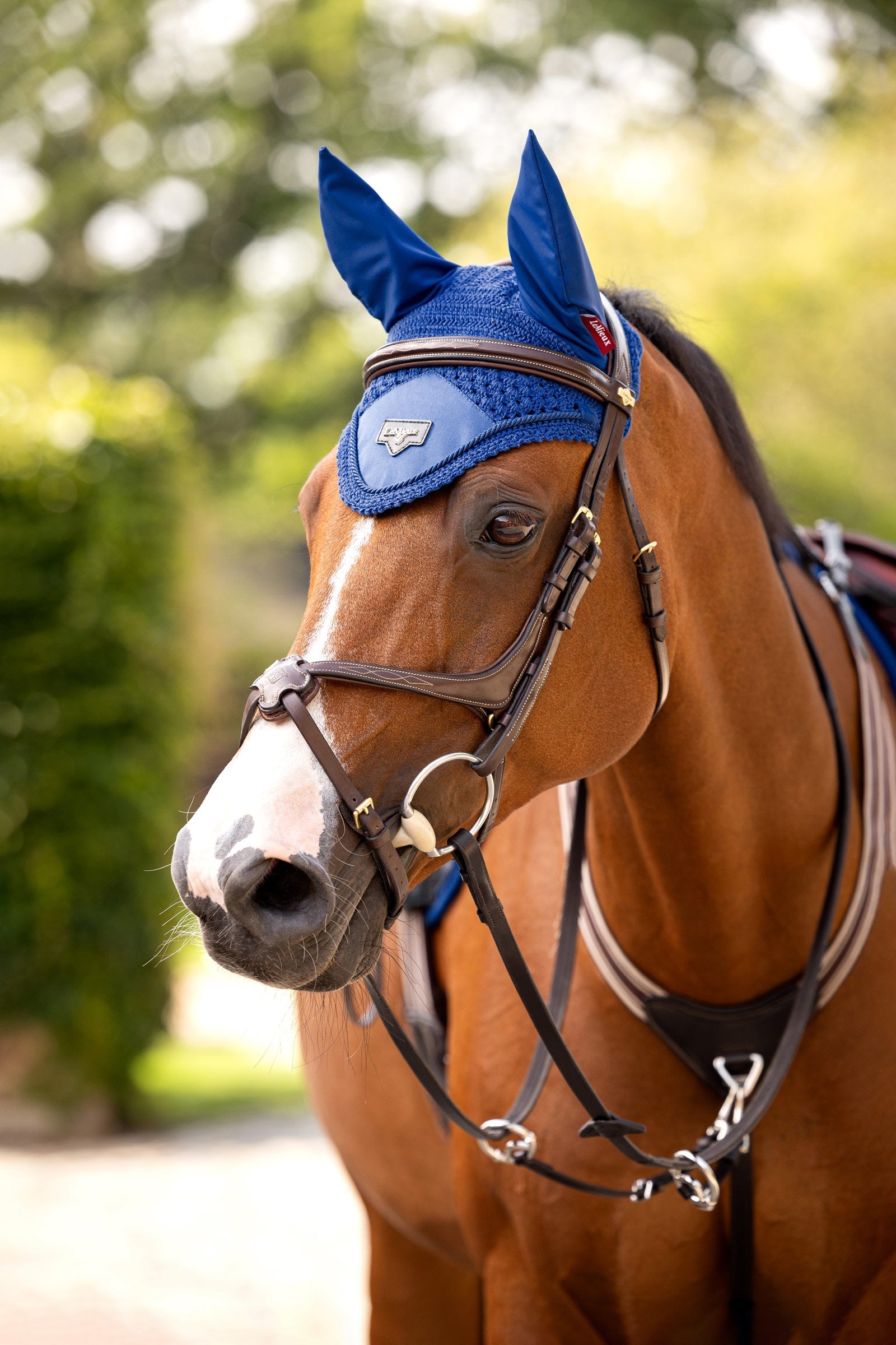 LeMieux Loire Fly Hood Saddle Pads