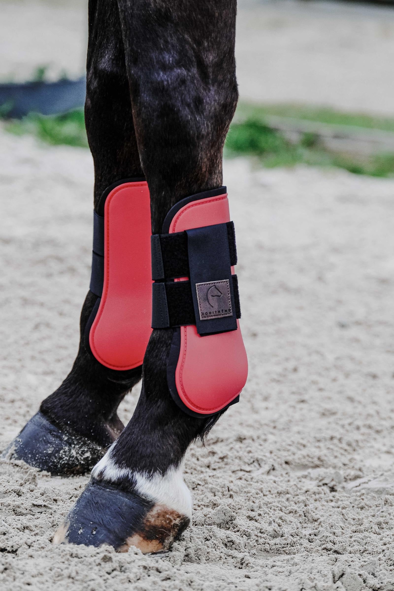 EQUITHÈME Tara Tendon Boots Leg & Hoof Protection