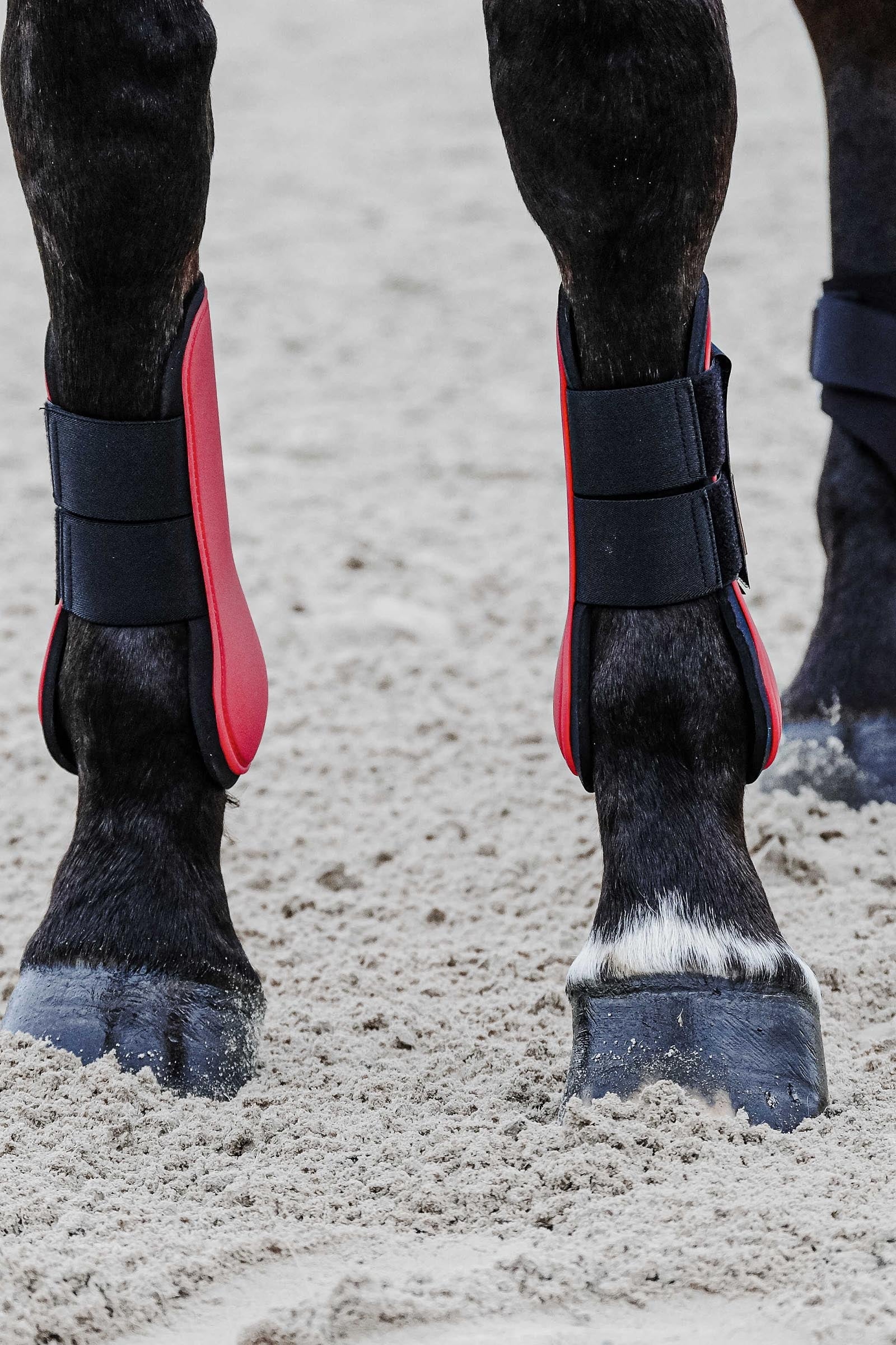 EQUITHÈME Tara Tendon Boots Leg & Hoof Protection