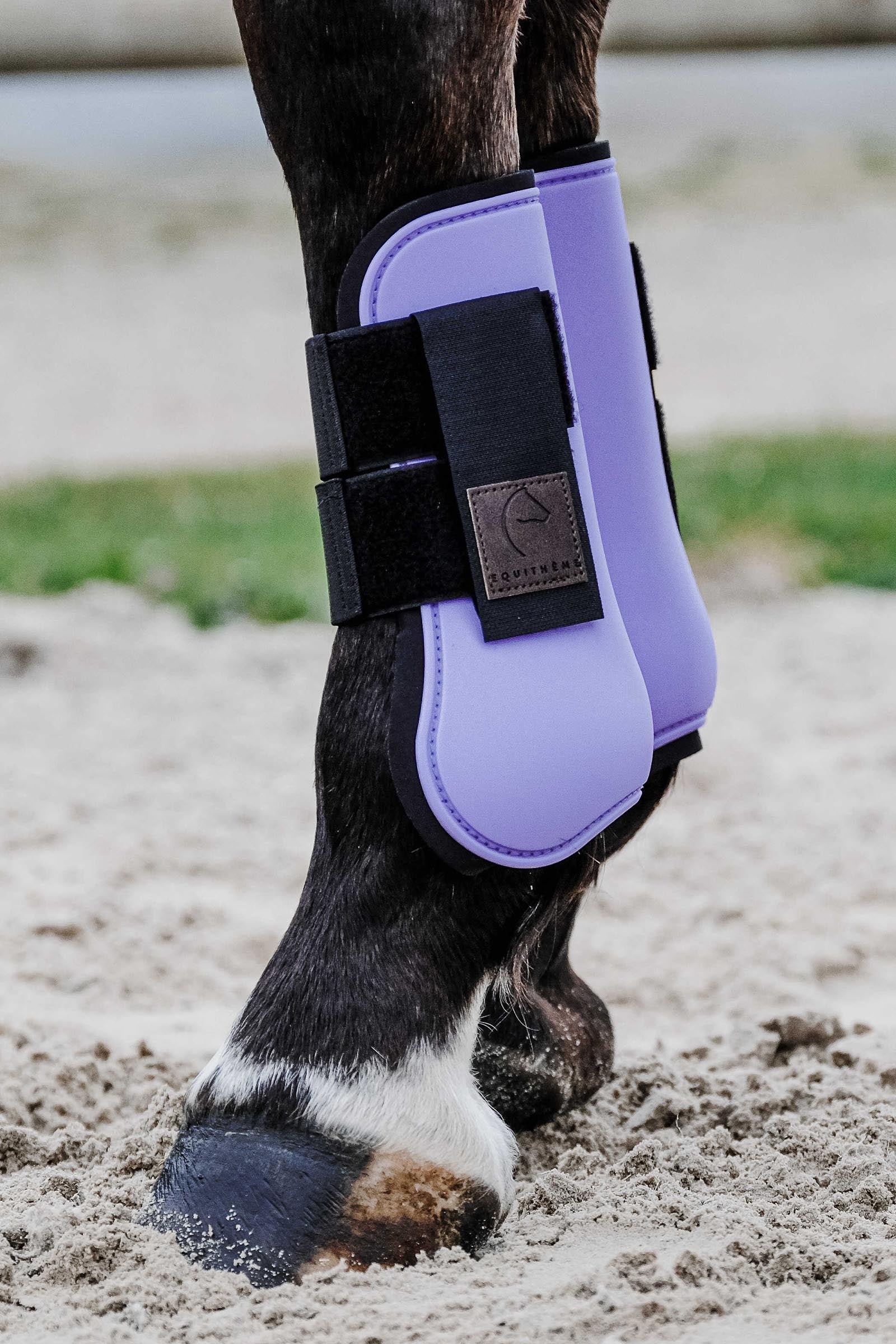 EQUITHÈME Tara Tendon Boots Leg & Hoof Protection