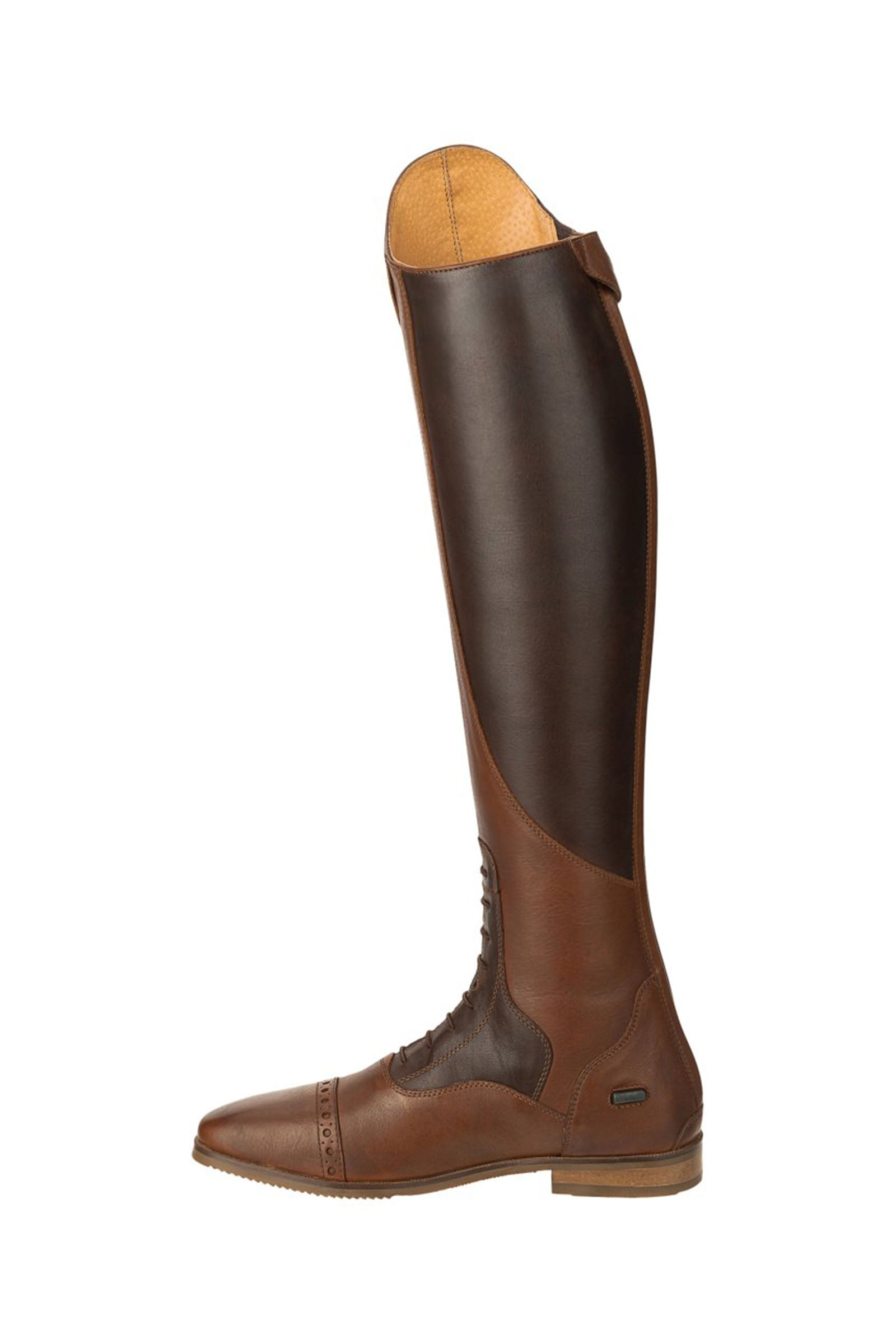 Suedwind Footwear Florentina Tall Riding Boots Riding Boots & Riding Shoes