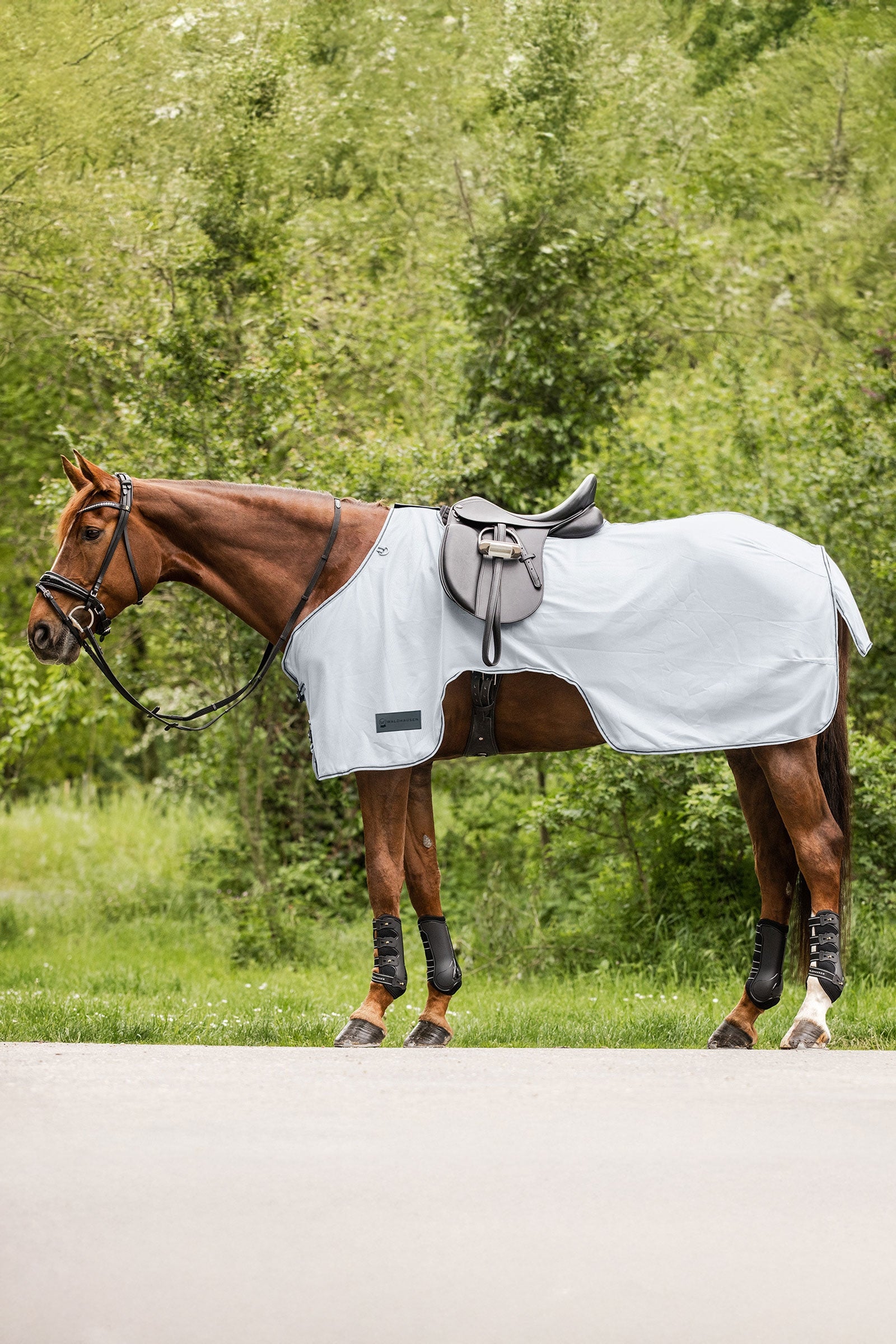 Waldhausen Protect vliegendeken voor het rijden Paardendekens