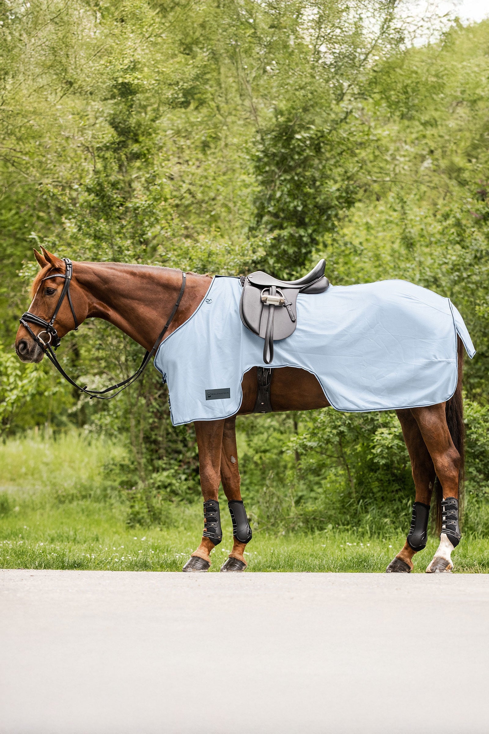 Waldhausen Protect Fly Exercise Sheet Horse Rugs
