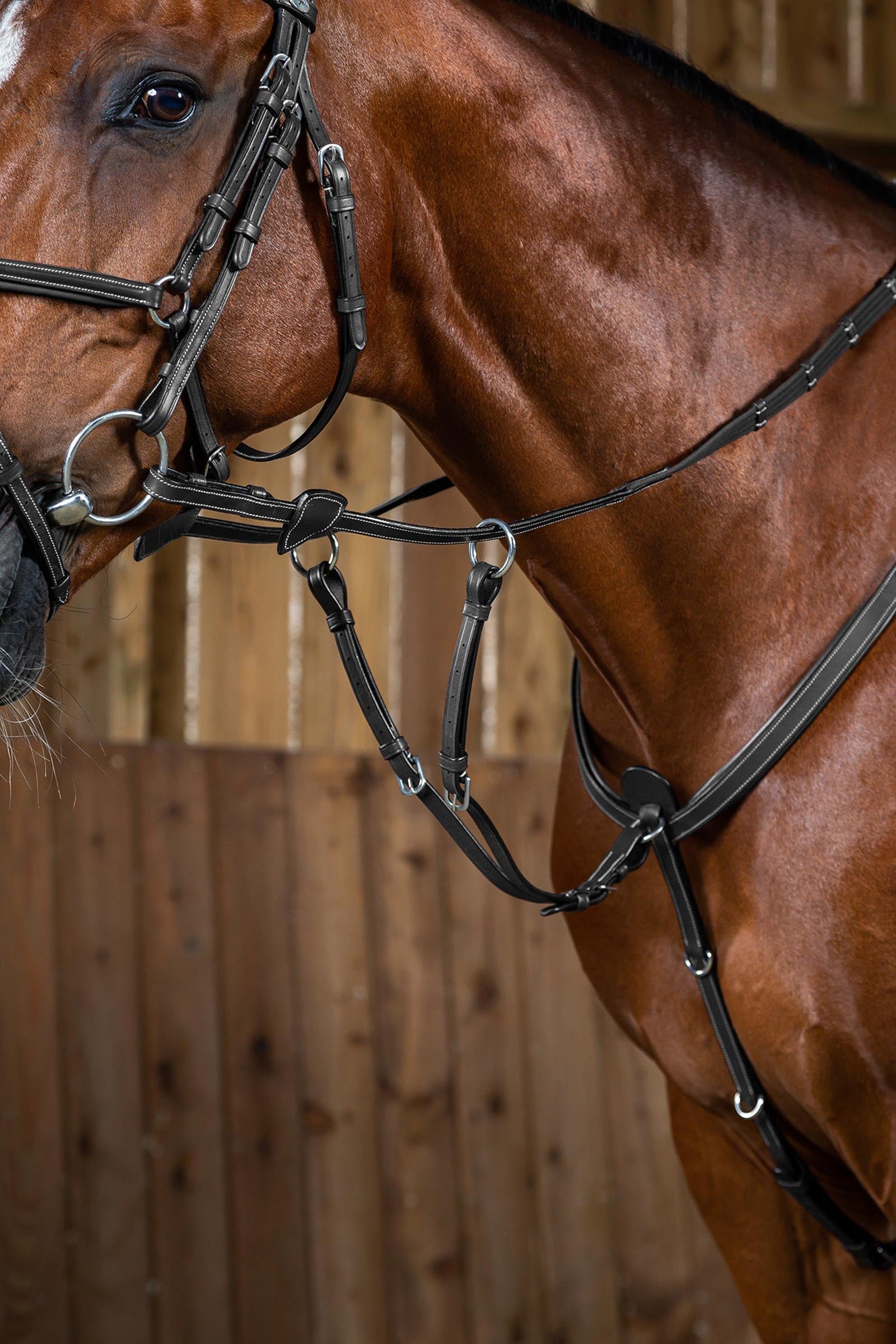 Dy'on Working martingaalstuk Hoofdstellen & Teugels