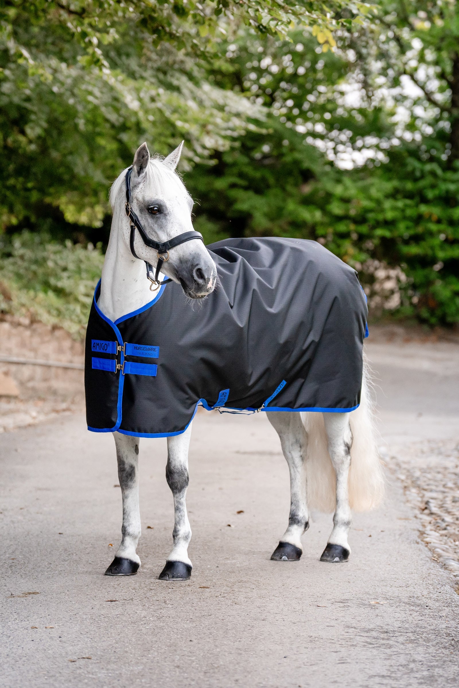 Horseware Amigo Ripstop 900D regendeken, 200 g Paardendekens