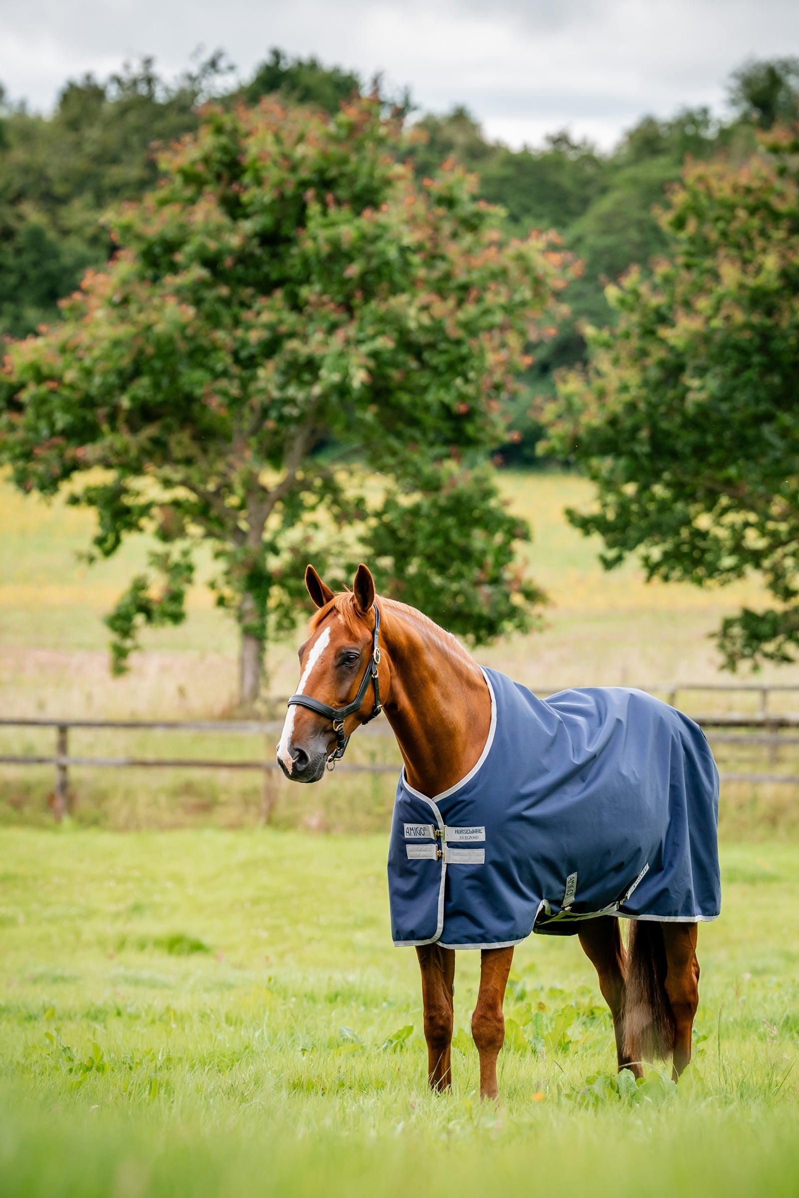 Horseware Amigo Ripstop 900D regendeken, 200 g Paardendekens