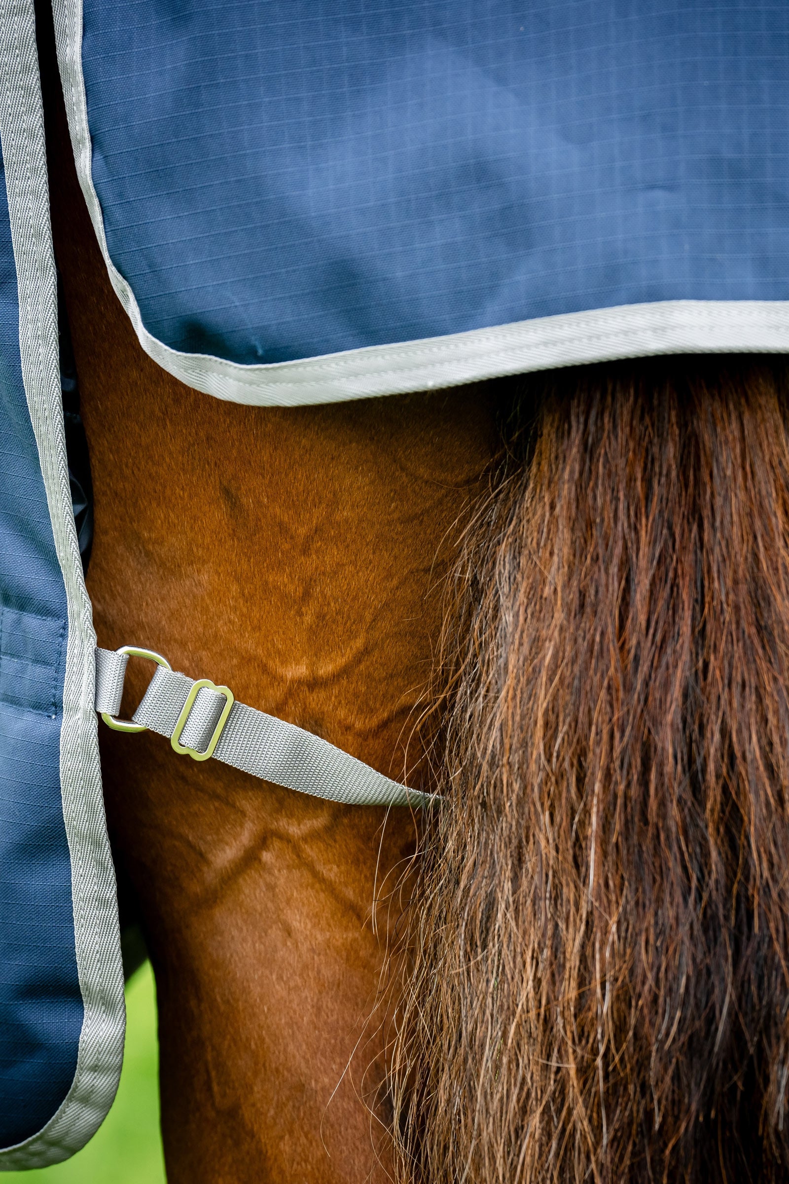 Horseware Amigo Ripstop 900D Turnout Rug, 200 g Horse Rugs