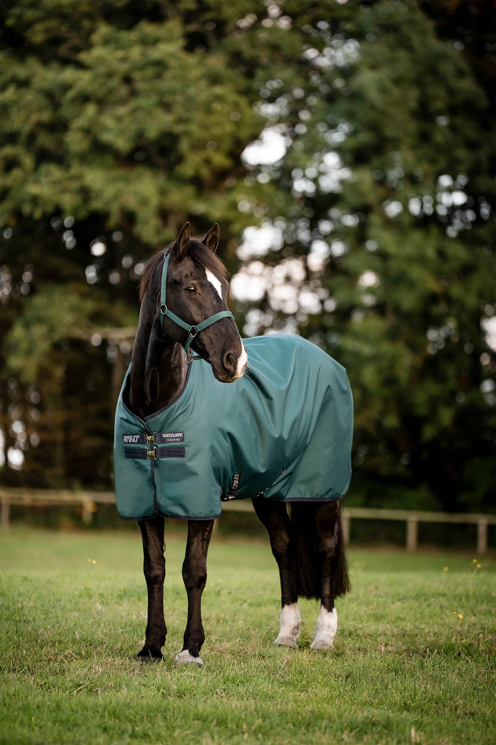 Horseware Amigo Ripstop 900D regendeken, 200 g Paardendekens