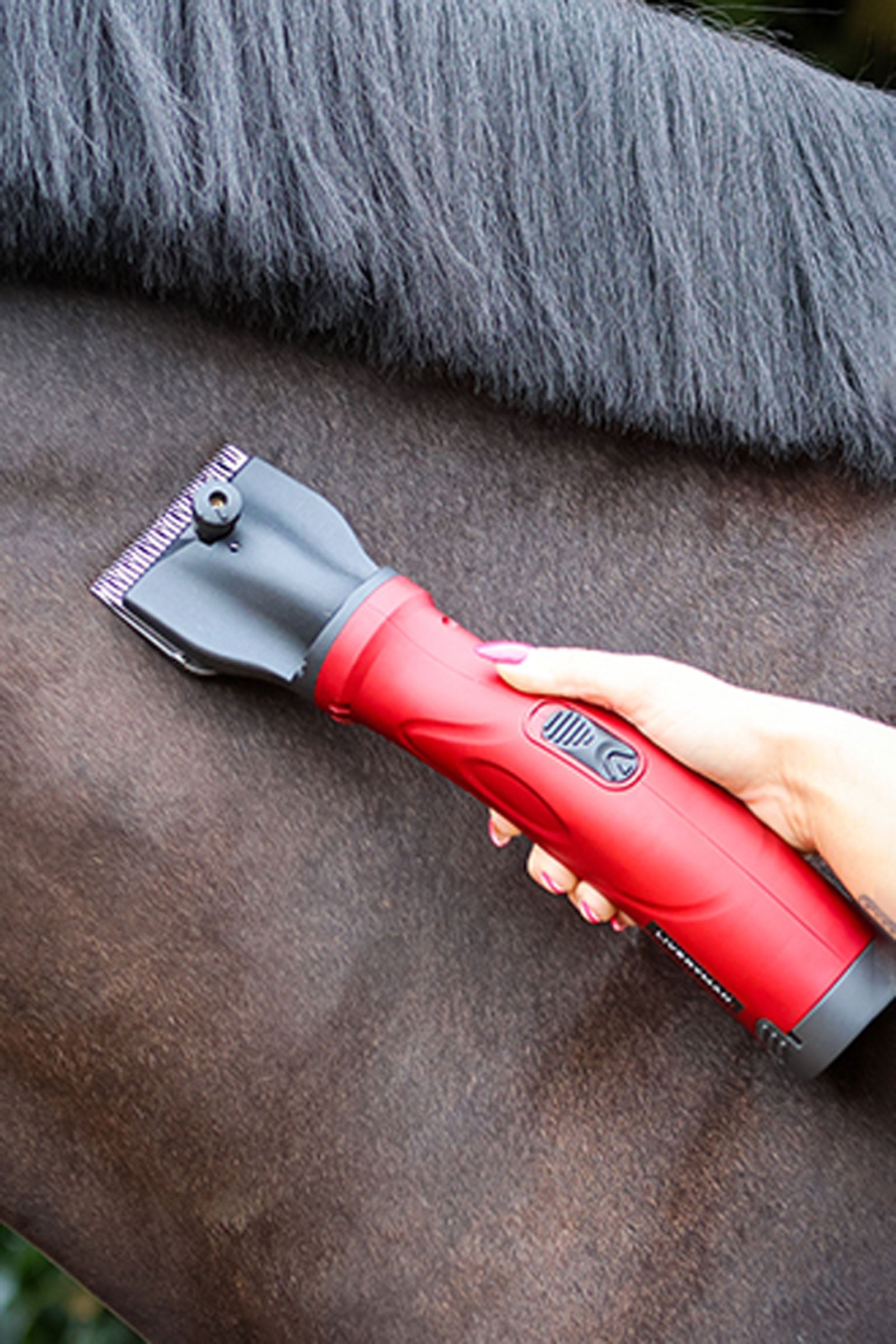 Liveryman Phoenix EU Clipper, 2.4 mm Horse Clipping & Trimming Tools