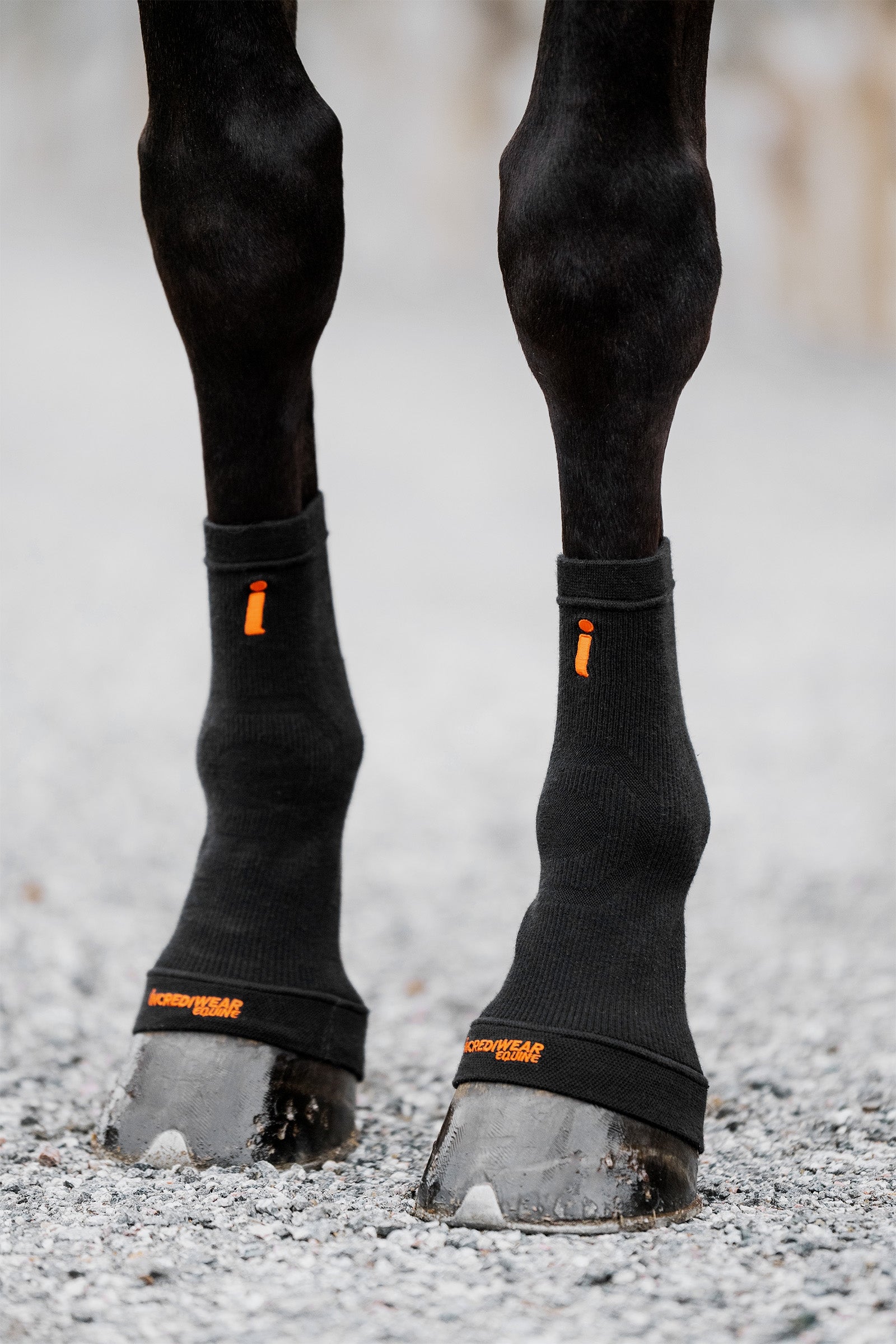 Incrediwear Equine Hoof Socks Leg Protection & Hoof Protection for Horses
