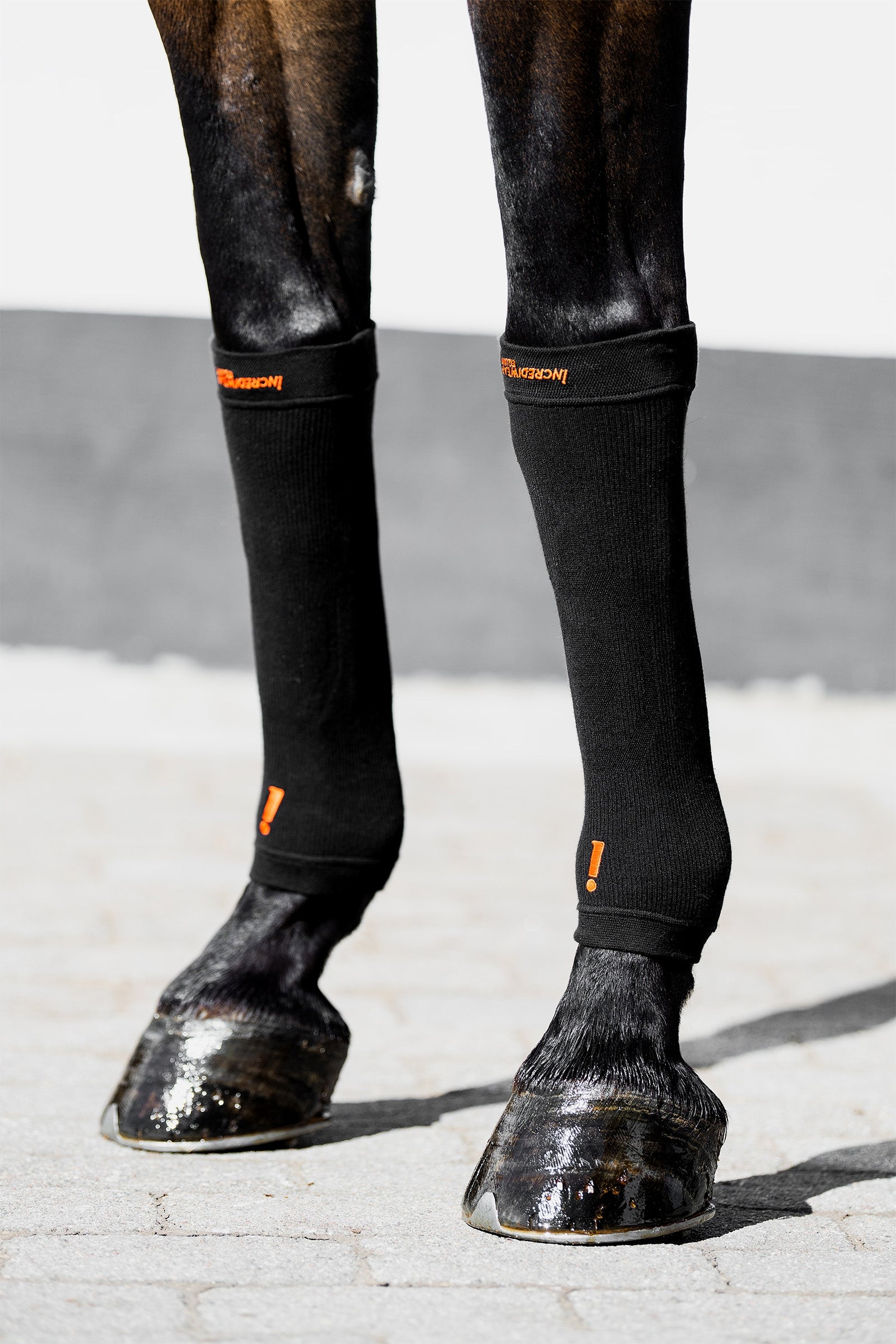 Incrediwear Equine Hoof Socks Leg Protection & Hoof Protection for Horses