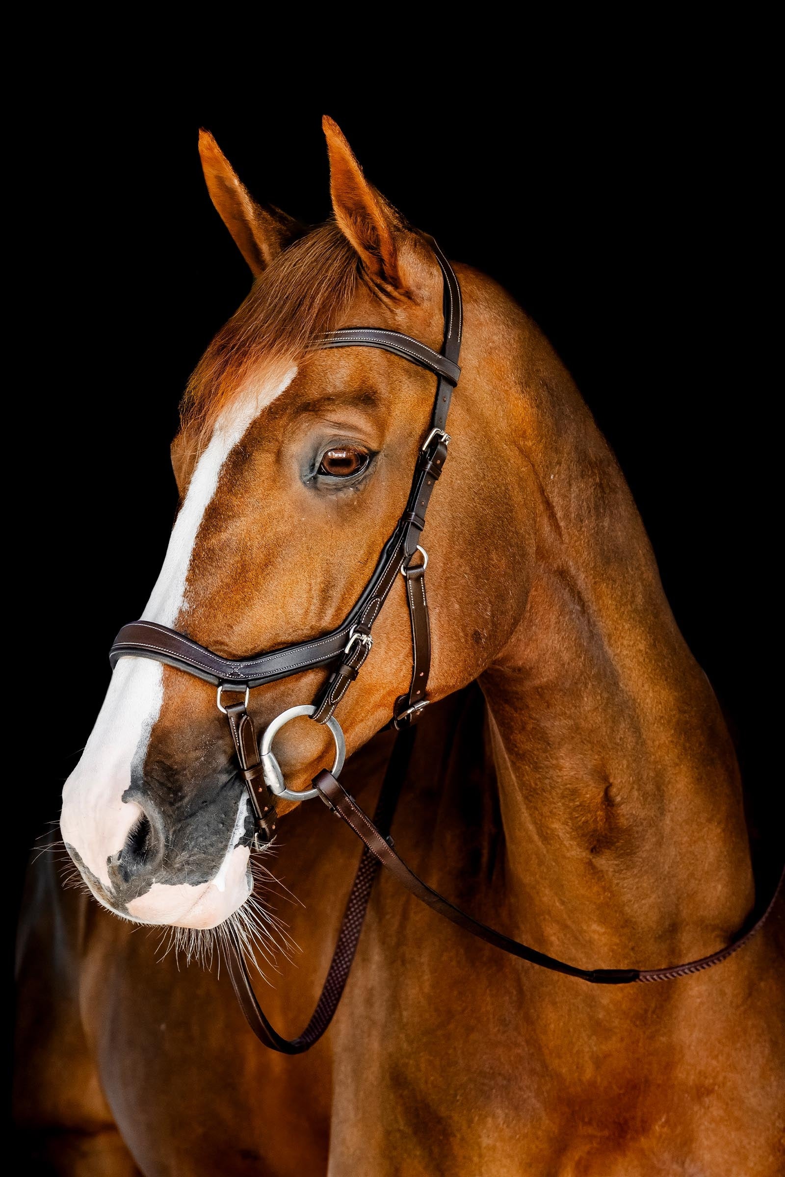 Horseware Rambo Micklem Wedstrijd Hoofdstel Hoofdstellen & Teugels
