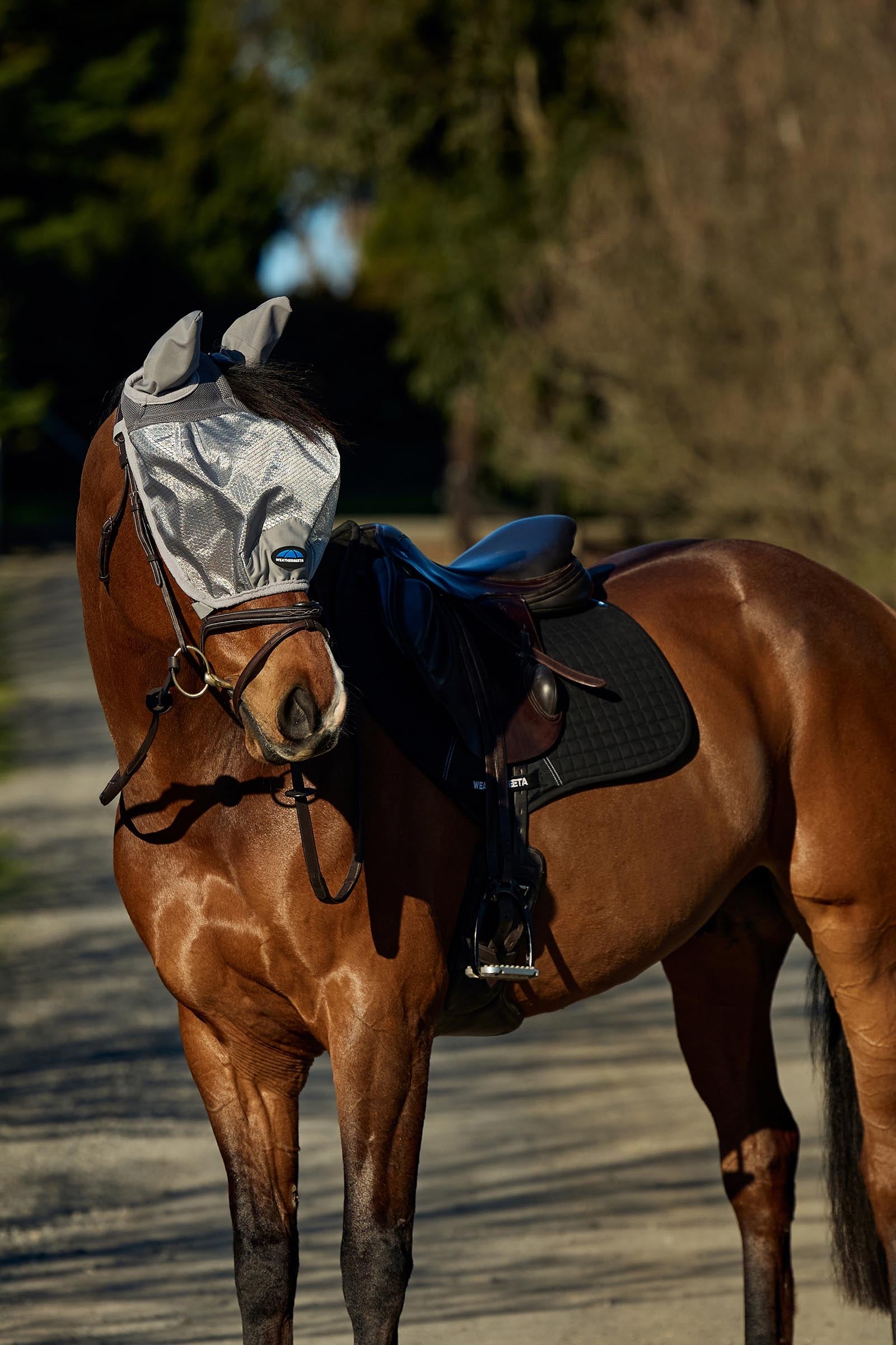 Weatherbeeta Comfitec Hexi Shield Ride On Fly Mask Antifly Protection for Horses