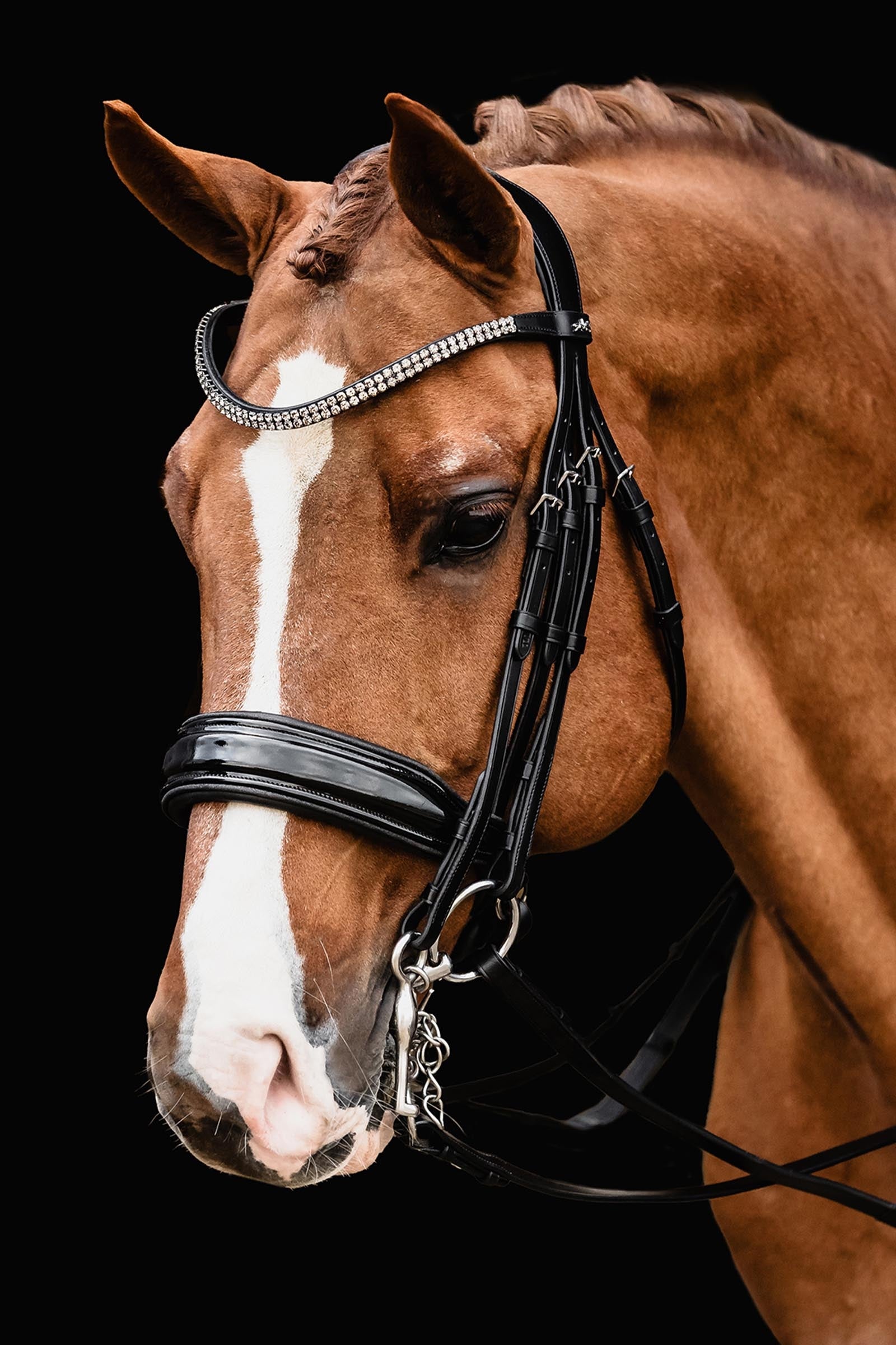 Schockemöhle Sports Schockemoehle Sports Kandare SP Monticelli Bridles & Reins
