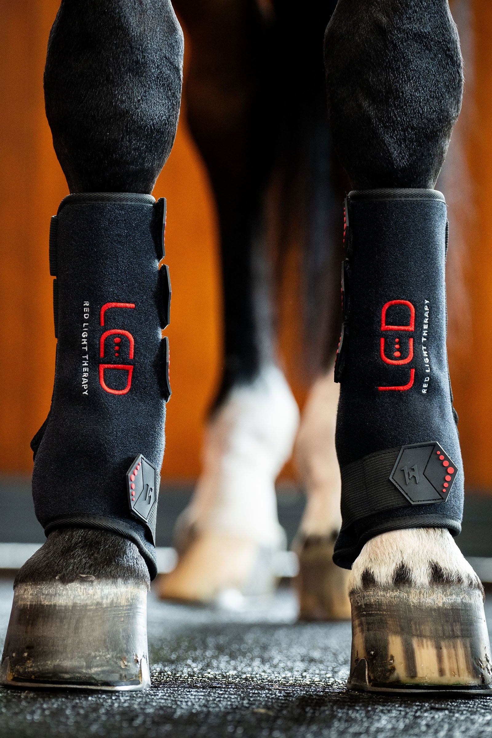 Horseware LED Red Light Therapy Leg Wrap (1 pc.) Leg Protection & Hoof Protection for Horses