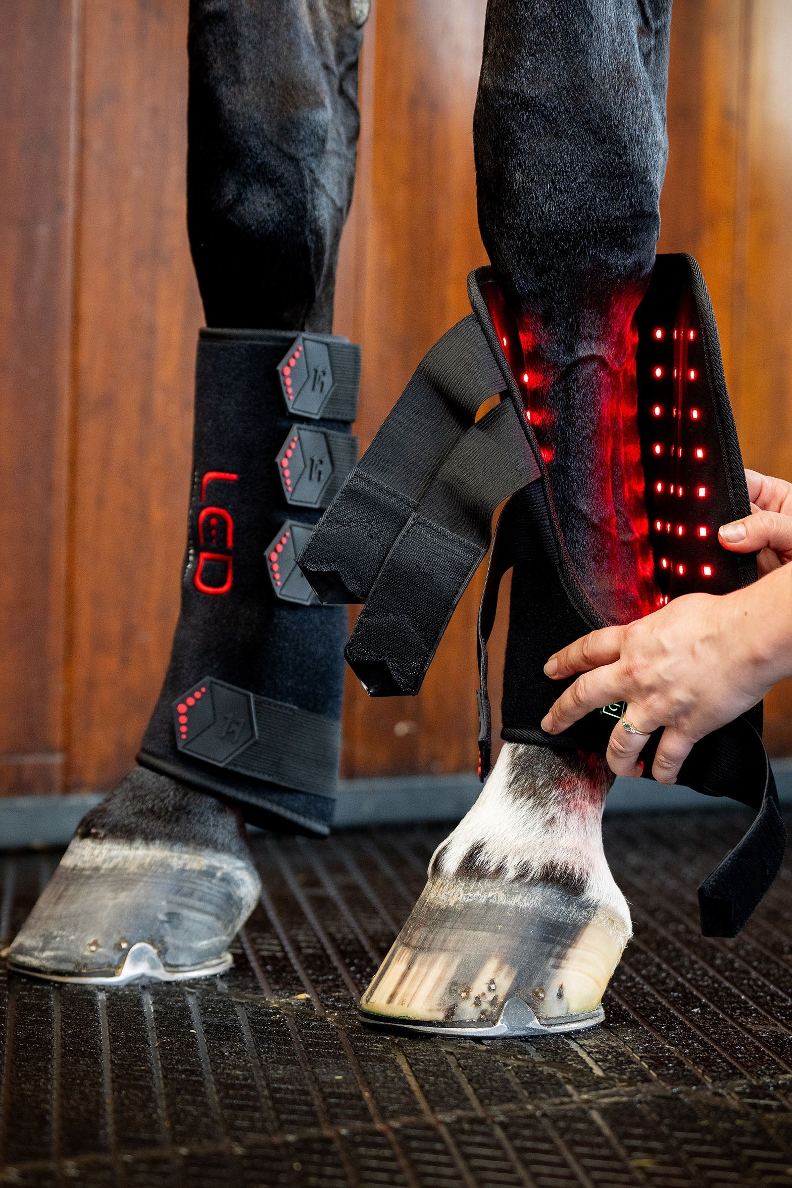 Horseware LED Red Light Therapy Leg Wrap (1 pc.) Leg Protection & Hoof Protection for Horses