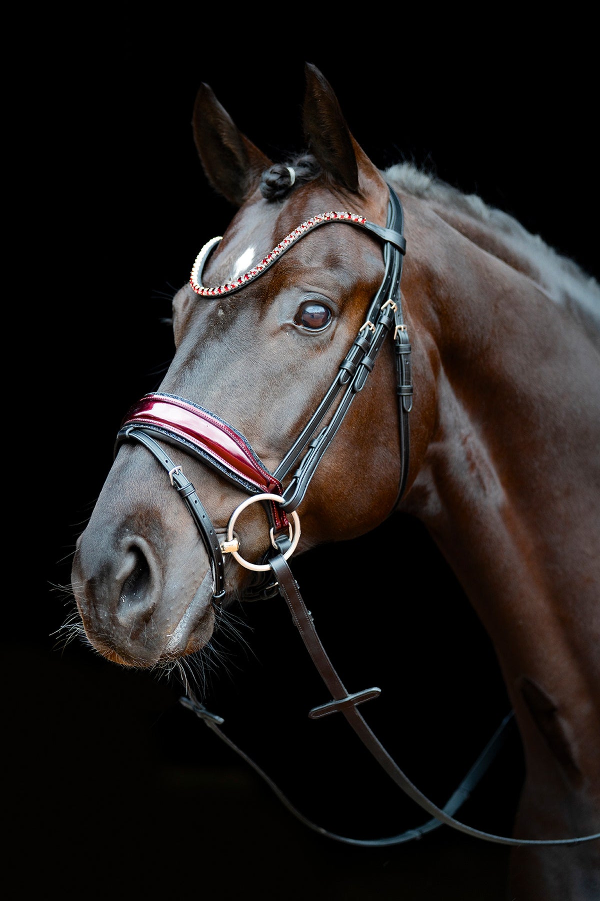 Schockemöhle Sports Schockemöhle SP Luxury Dressage Bridle Bridles & Reins